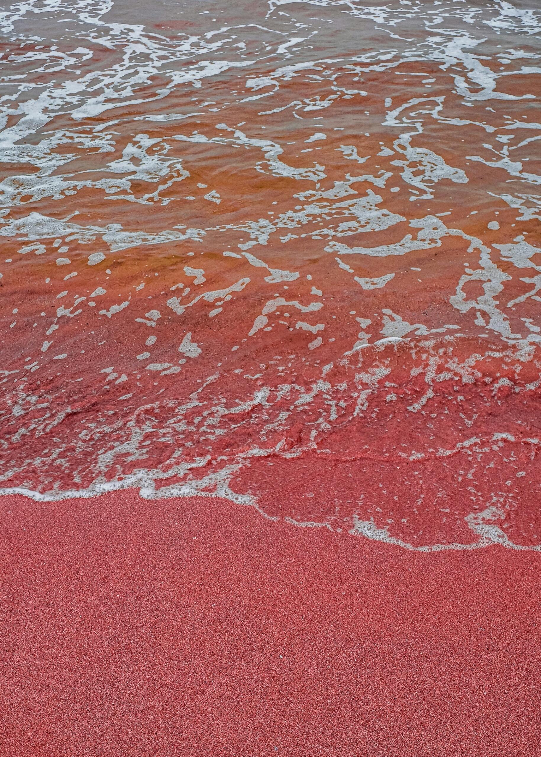 Las olas bañan suavemente una playa de arena de un rojo intenso, creando un contraste entre el agua espumosa y blanca y la orilla de un rojo intenso, lo que evoca una atmósfera serena y única.