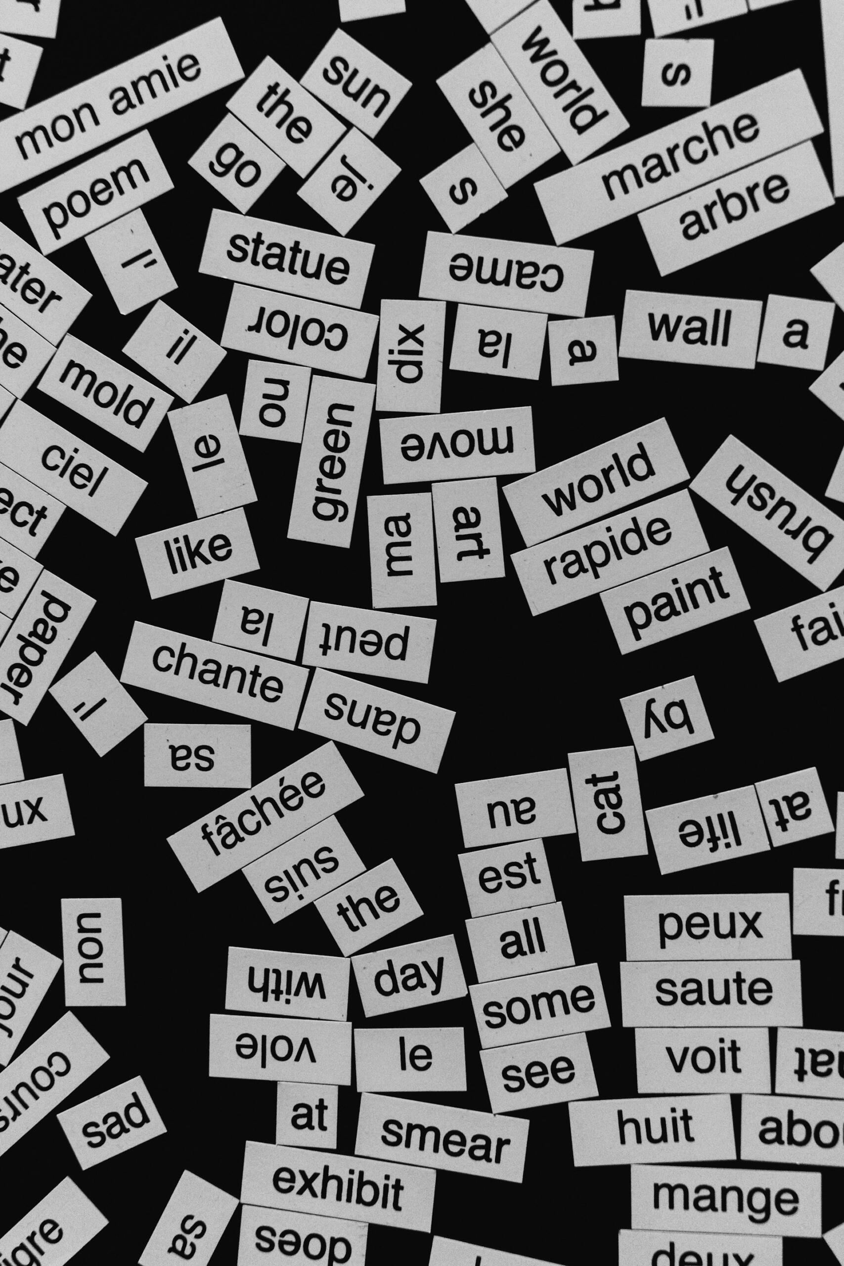Imanes con palabras en blanco y negro repartidos por una superficie, con palabras en inglés y francés como «sun», «poem», «rapide» y «arbre», que crean un ambiente divertido y creativo.