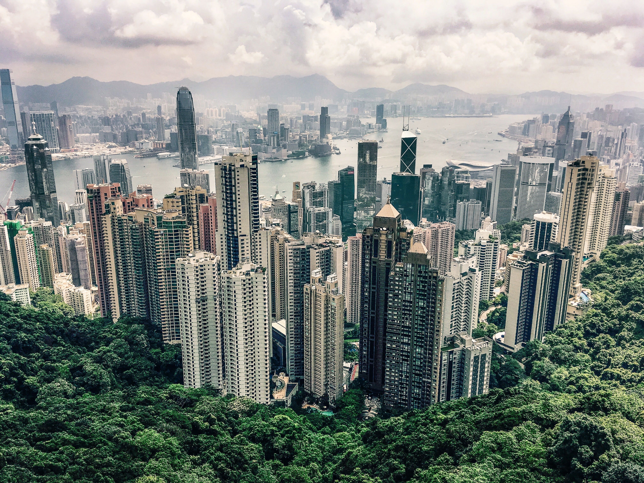 El perfil urbano de Hong Kong, con una densa concentración de rascacielos rodeados de exuberantes colinas verdes y un puerto bajo un cielo nublado.