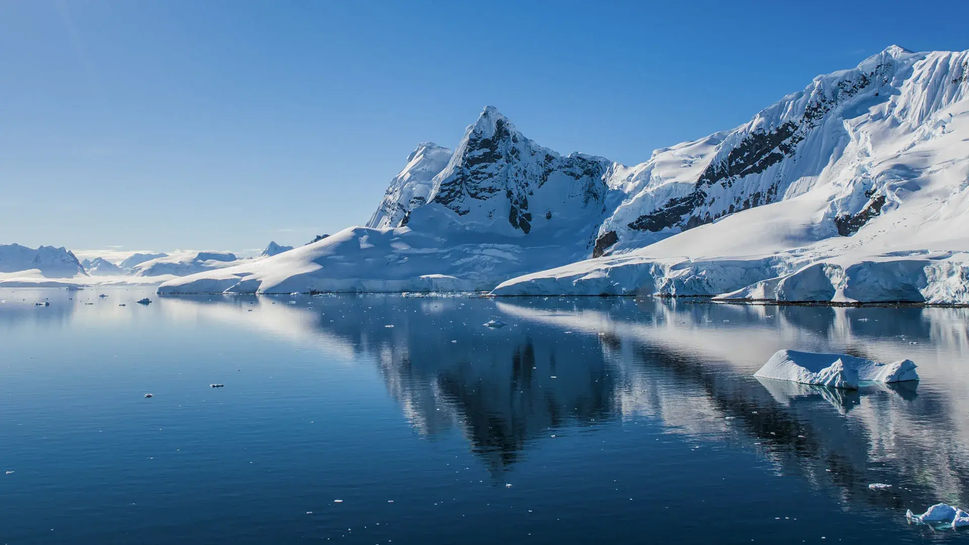 Las montañas y los glaciares antárticos, cubiertos de nieve, se alzan sobre un mar azul y tranquilo, reflejándose en el agua junto a los icebergs que flotan bajo un cielo despejado.
