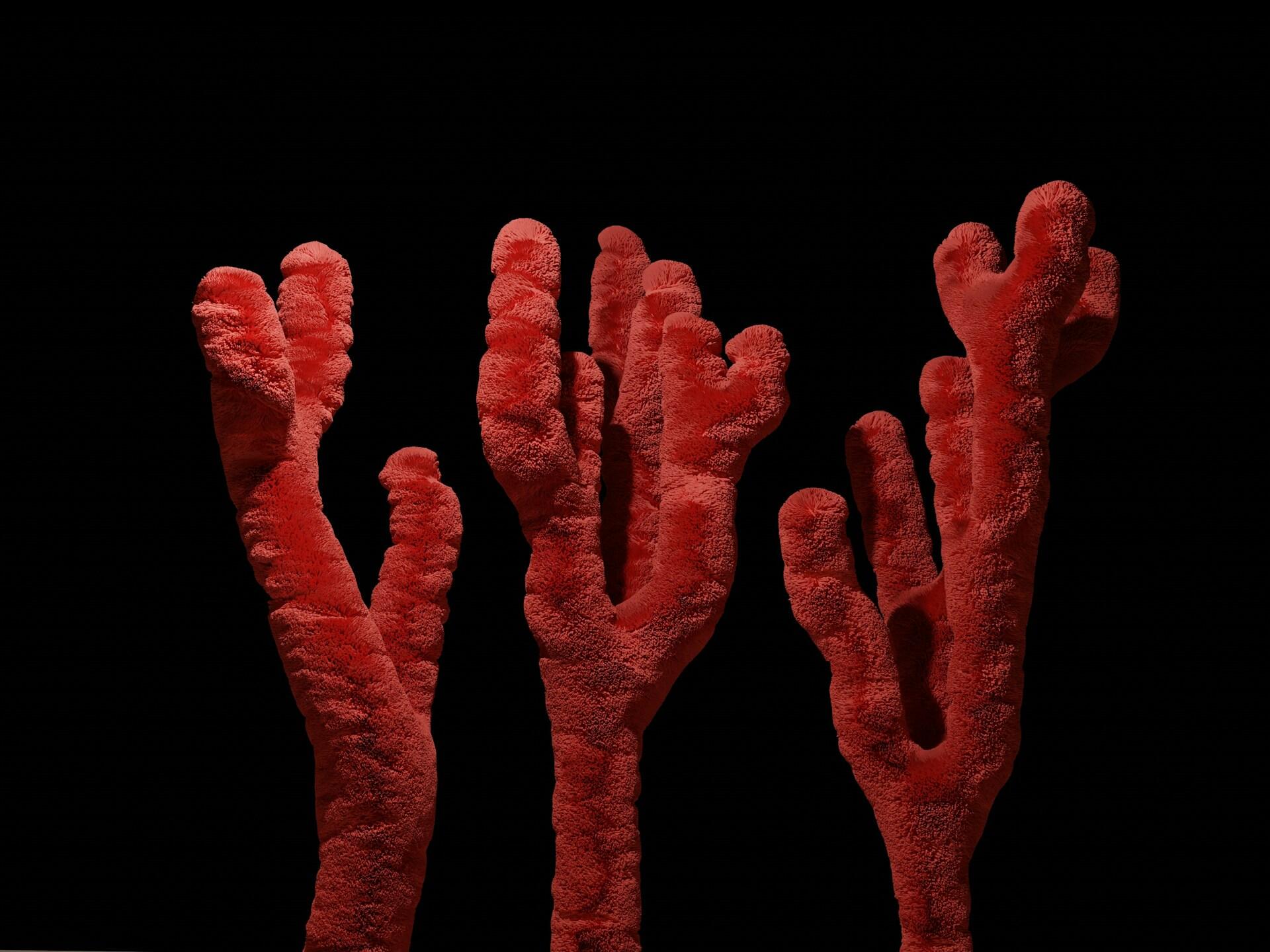 Tres formaciones de coral rojo, altas y ramificadas, se alzan sobre un fondo negro; sus formas texturizadas, parecidas a dedos, crean una atmósfera austera y escultural.
