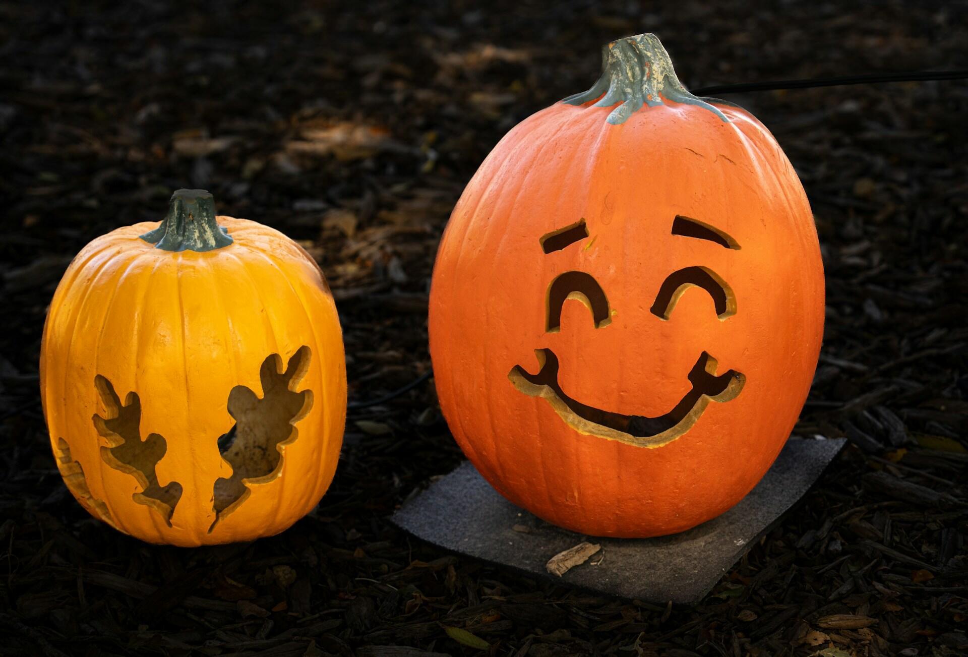 Dos calabazas talladas para Halloween.