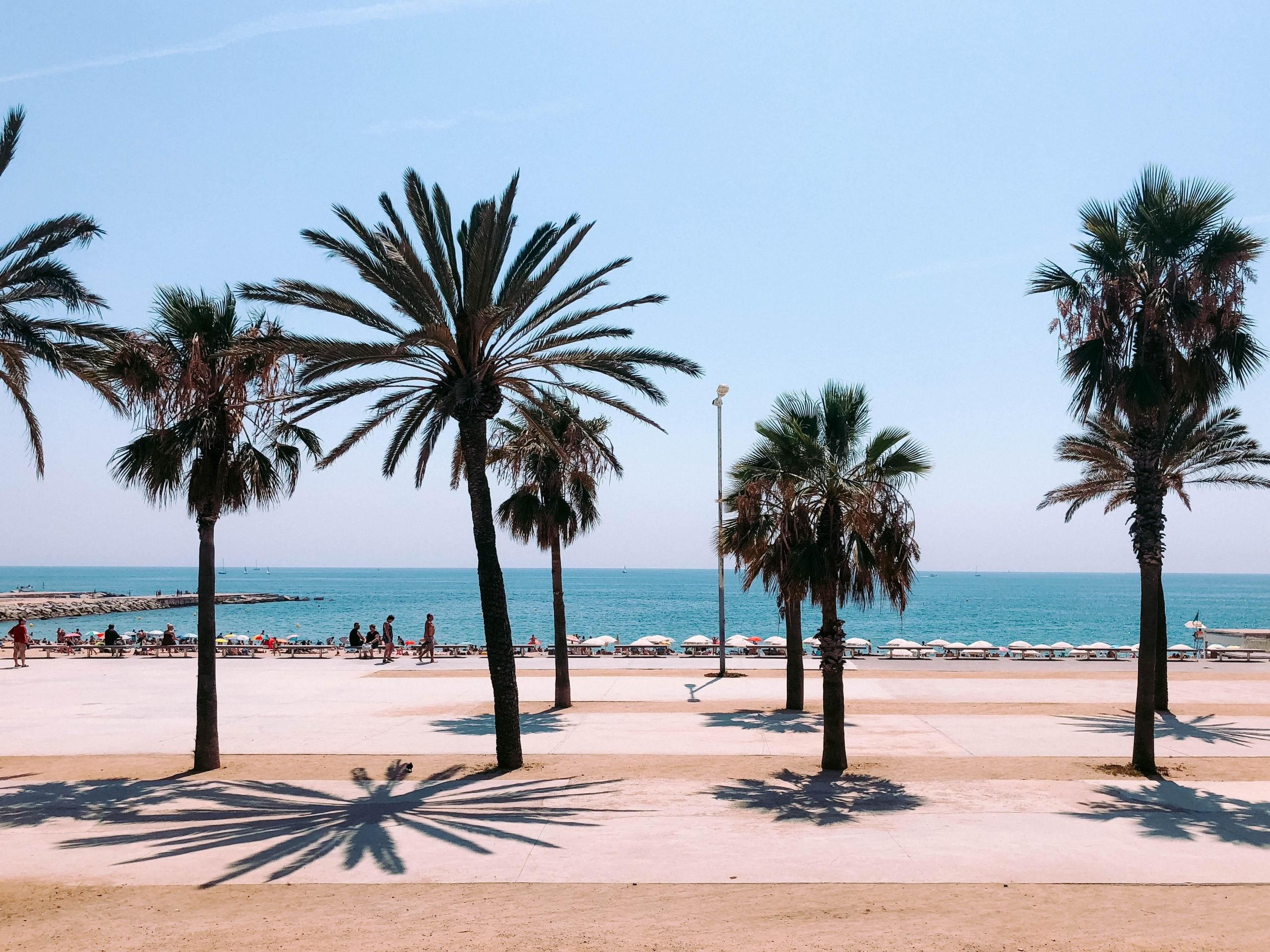 Barcelona, palmupuut, hiekkaranta, Espanja. Kuva: Unsplash/Lucrecia Carnelos