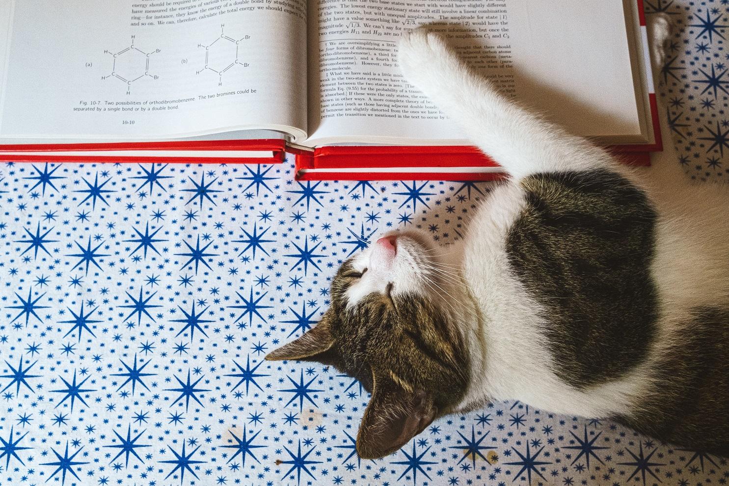 Kissa nukkumassa fysiikan tekstikirjan vieressä