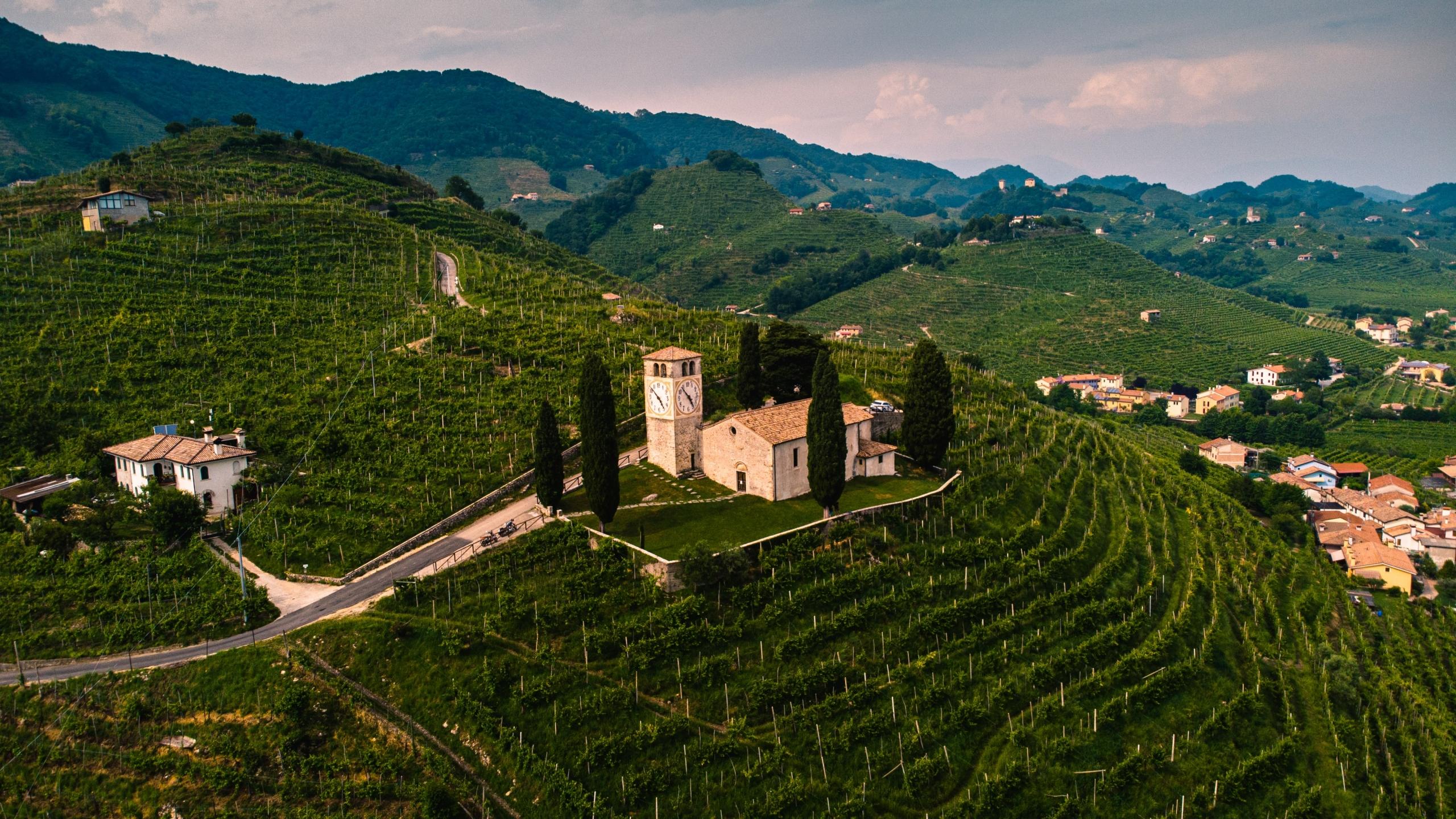 Viinitarhoja Italiassa