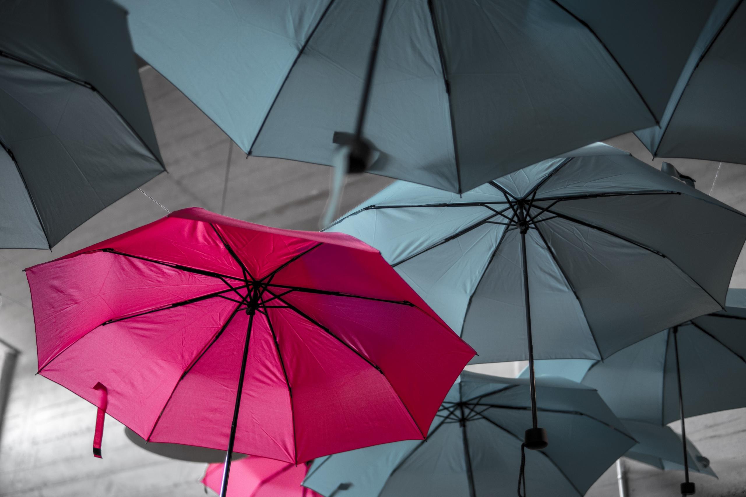 Pinkki sateenvarjo erottuu joukosta