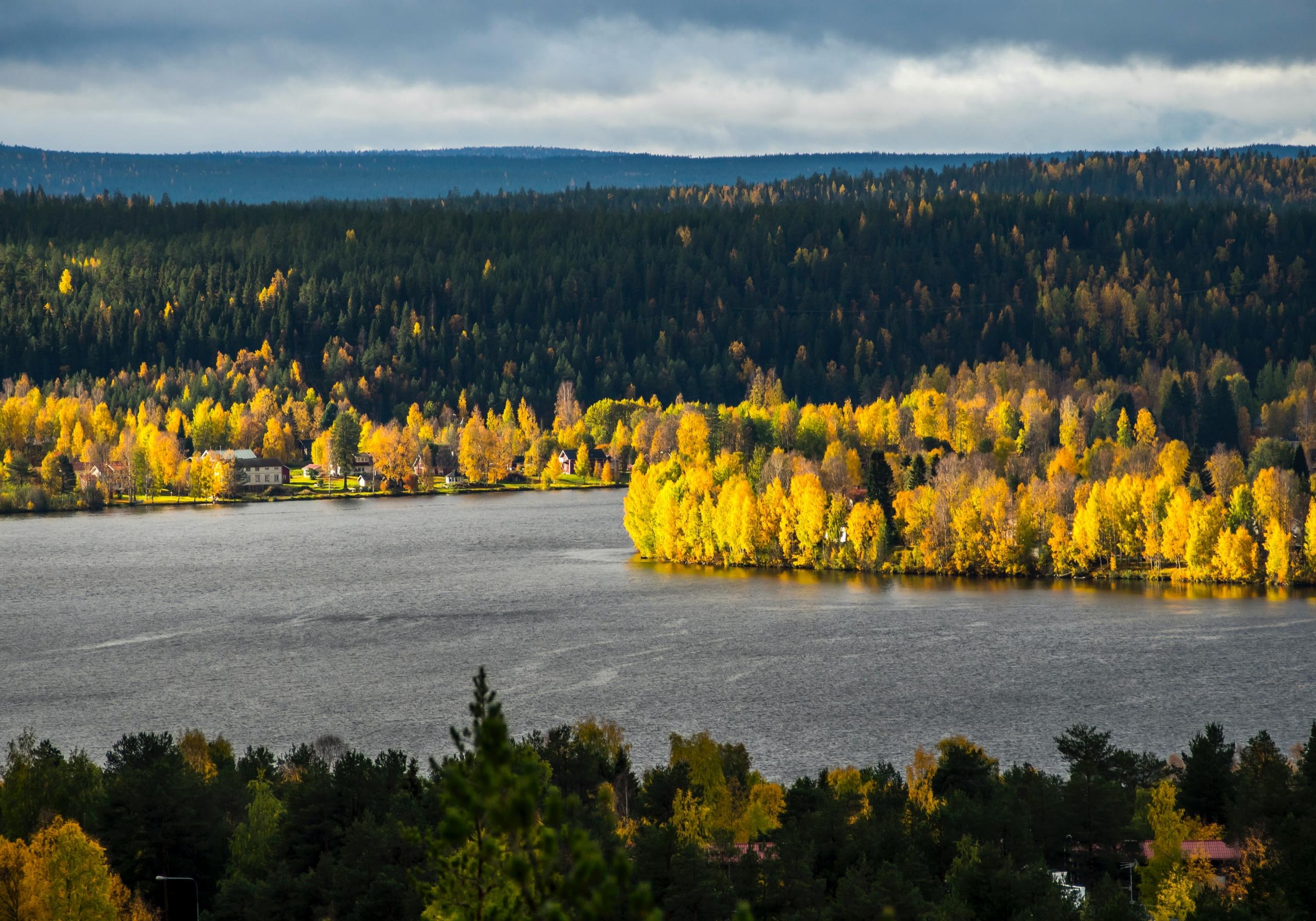 Suomalaista järvi- ja metsämaisemaa