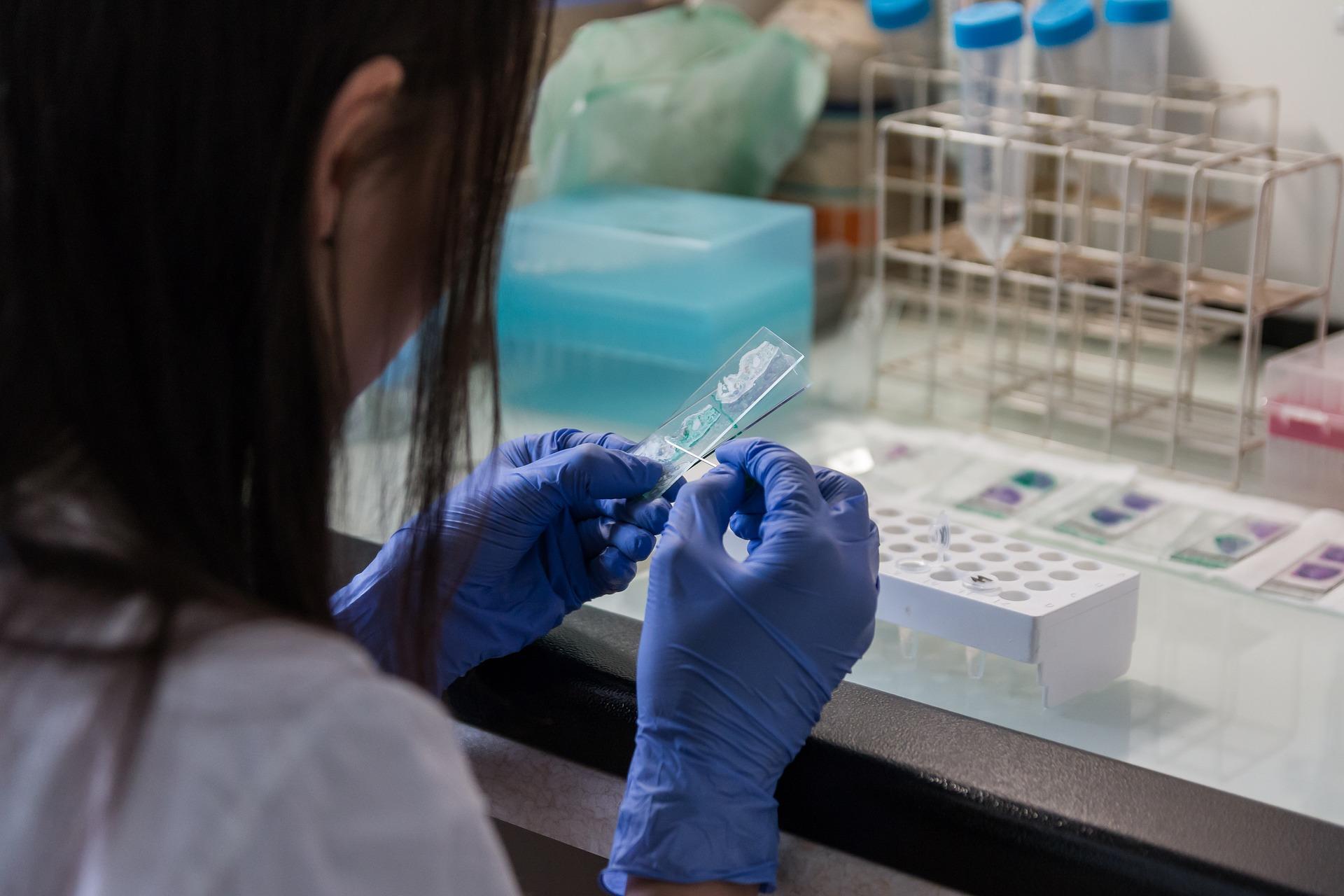 Laboratoriotyöntekijä tutkimassa käsissään olevaa näytettä