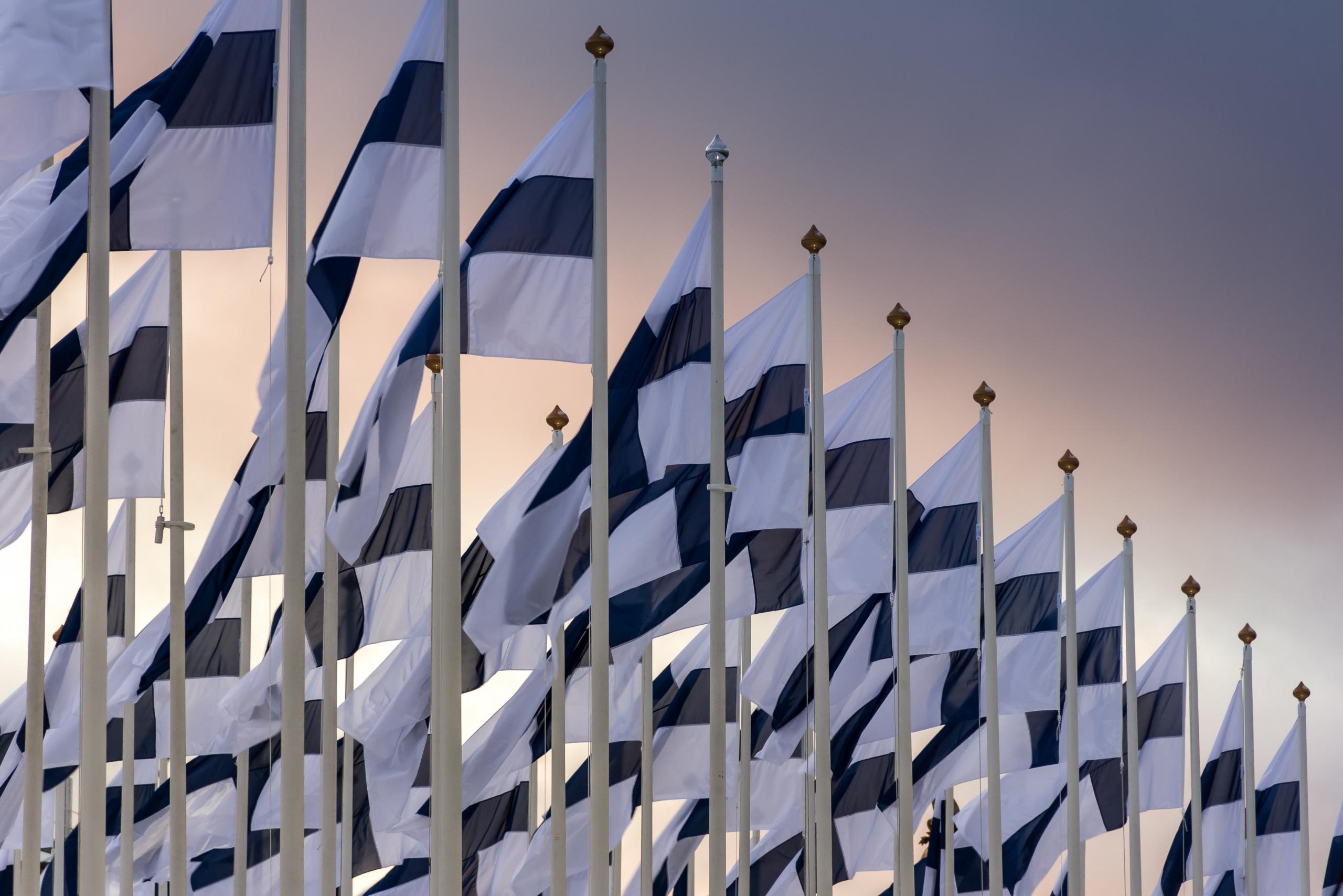 Suomen lippuja