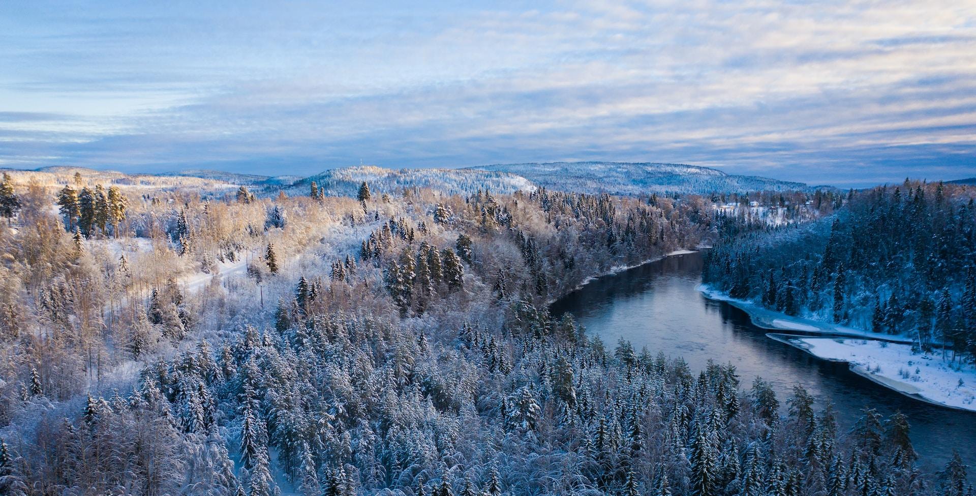 Talven lumista metsämaisemaa Sundsvallissa