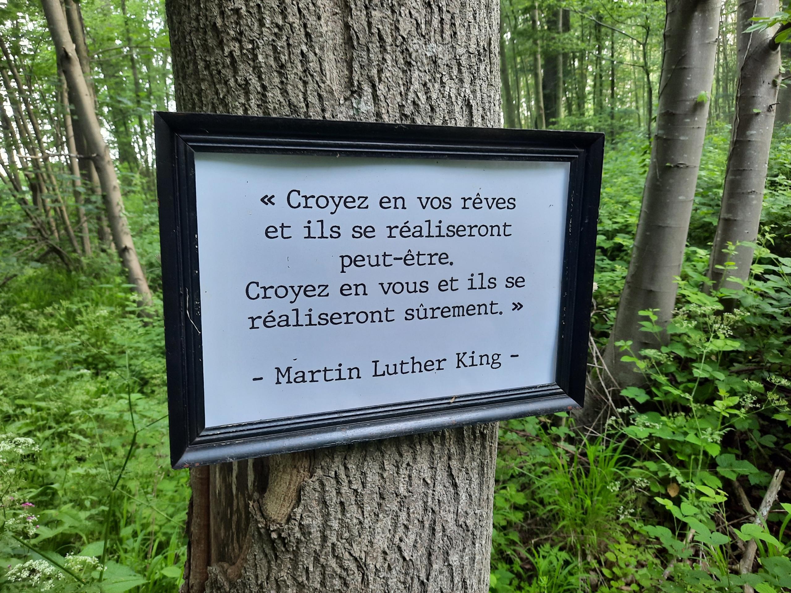 Martin Luther Kingin lainaus ranskan kielellä kehystettynä