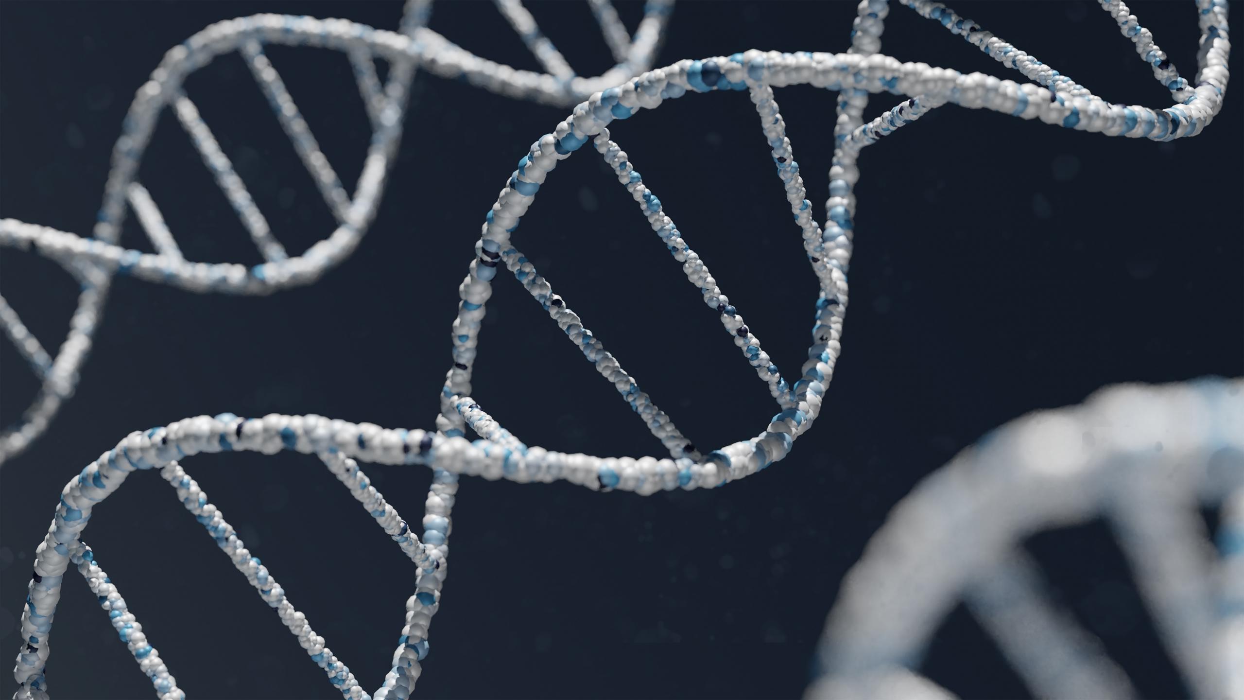 Kemian DNA