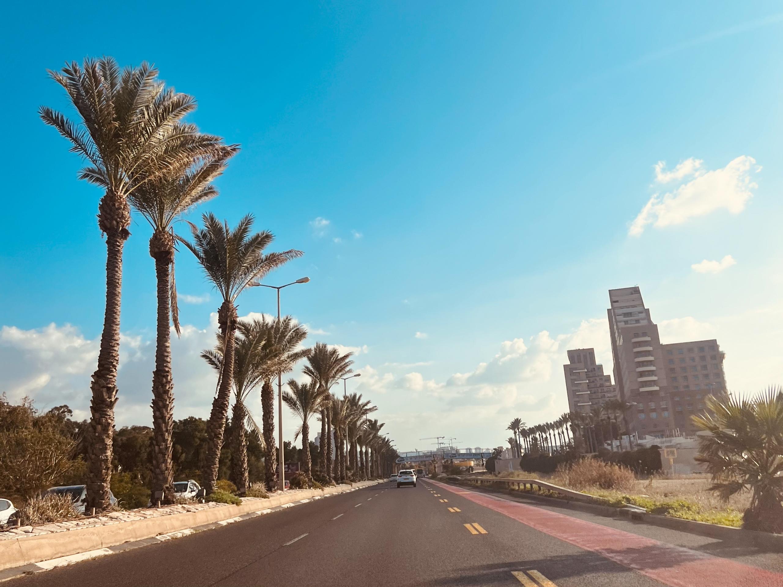 Israel Netanya