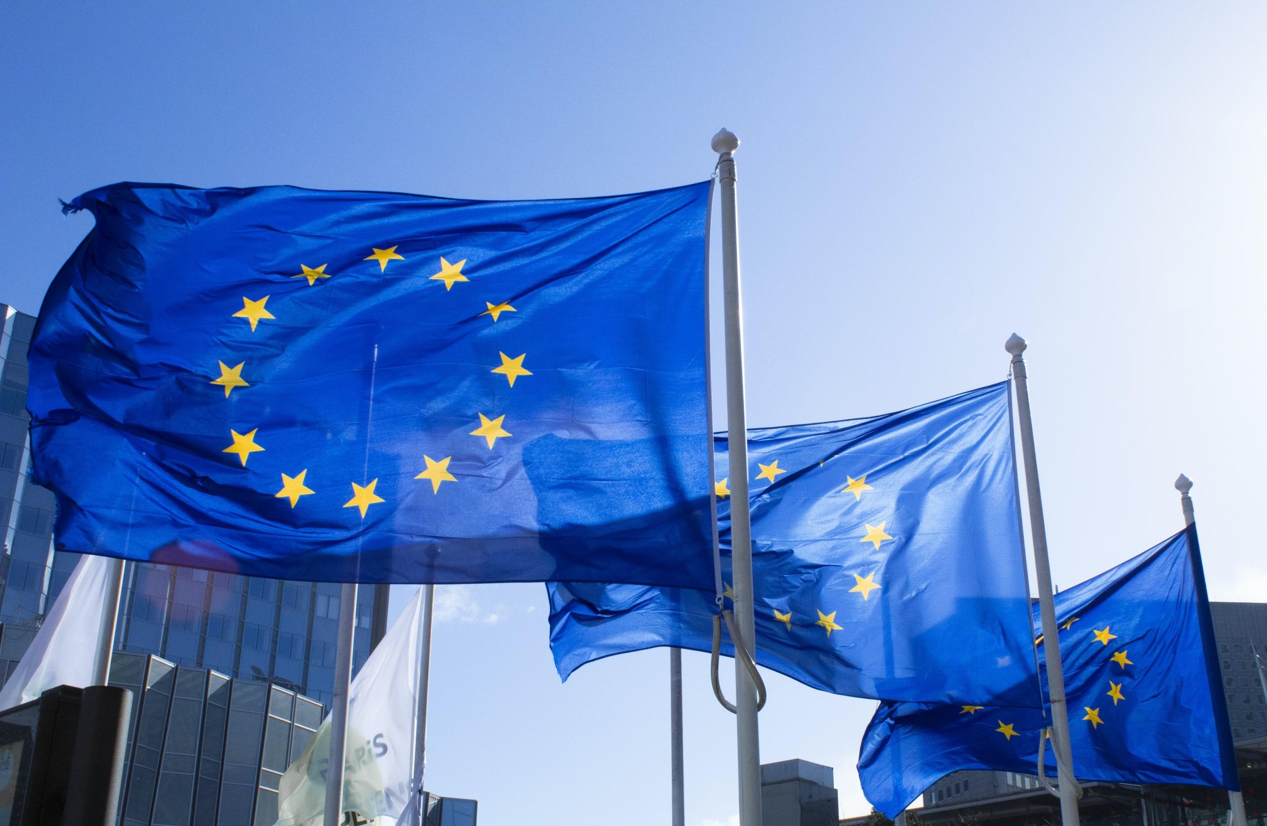Euroopan Unionin lippuja salossa