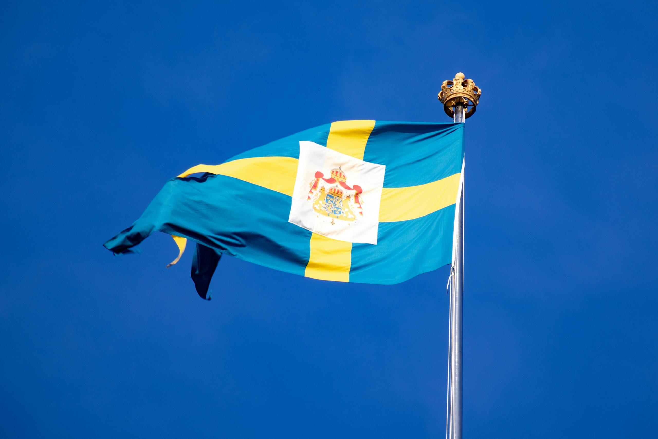 Valituksen ajan ruotsi