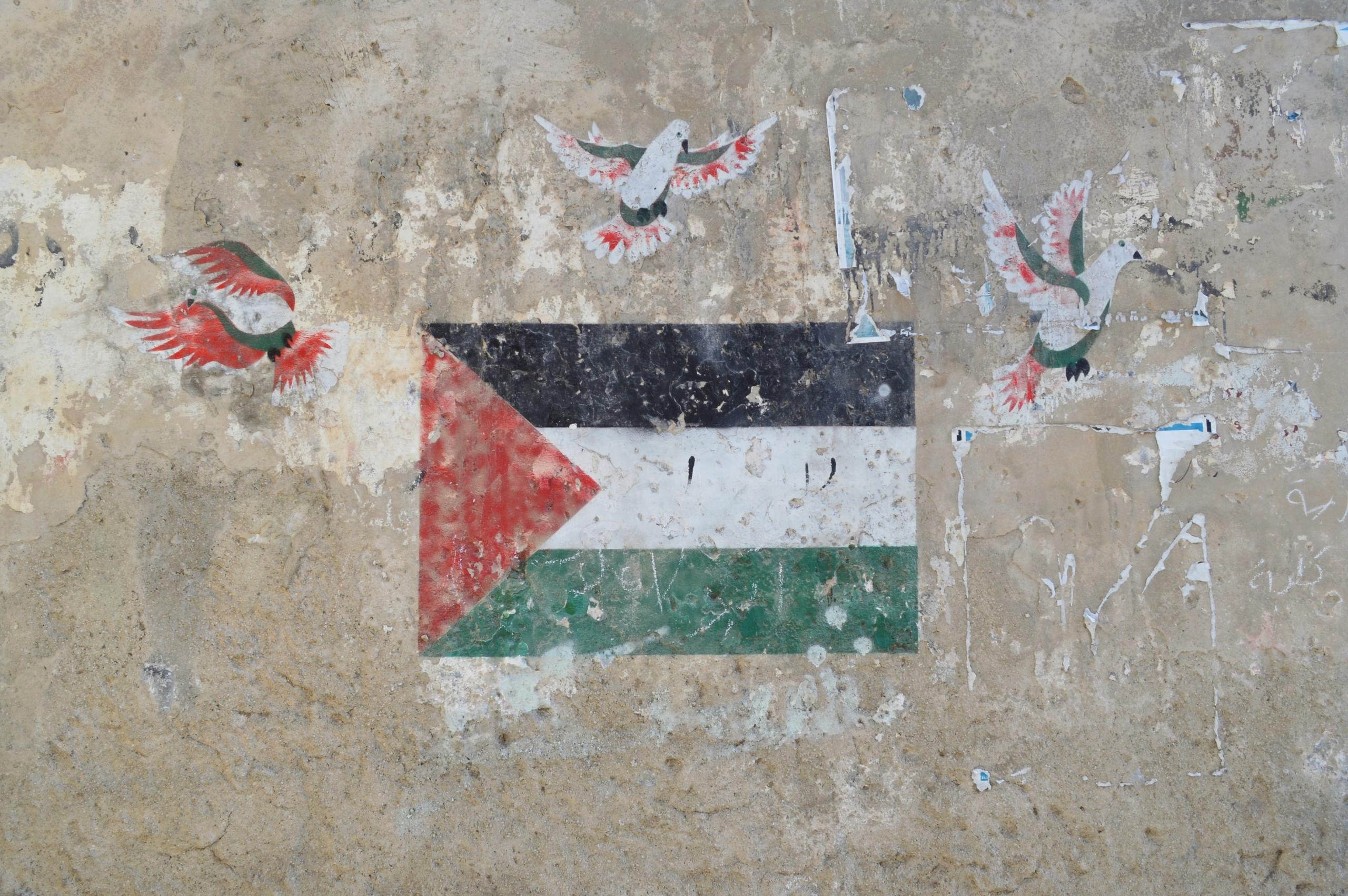 Palestiinan lippu ja kyyhkyjä maalattuna kiviseinään