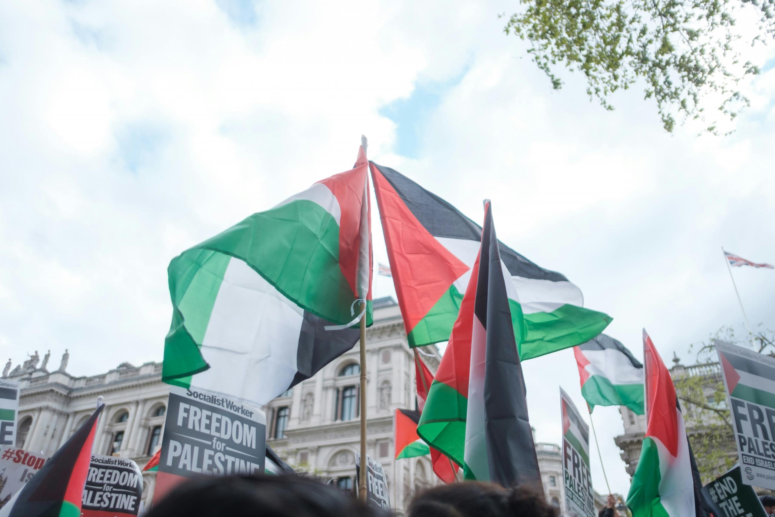 Palestiinan lippuja taivasta vasten