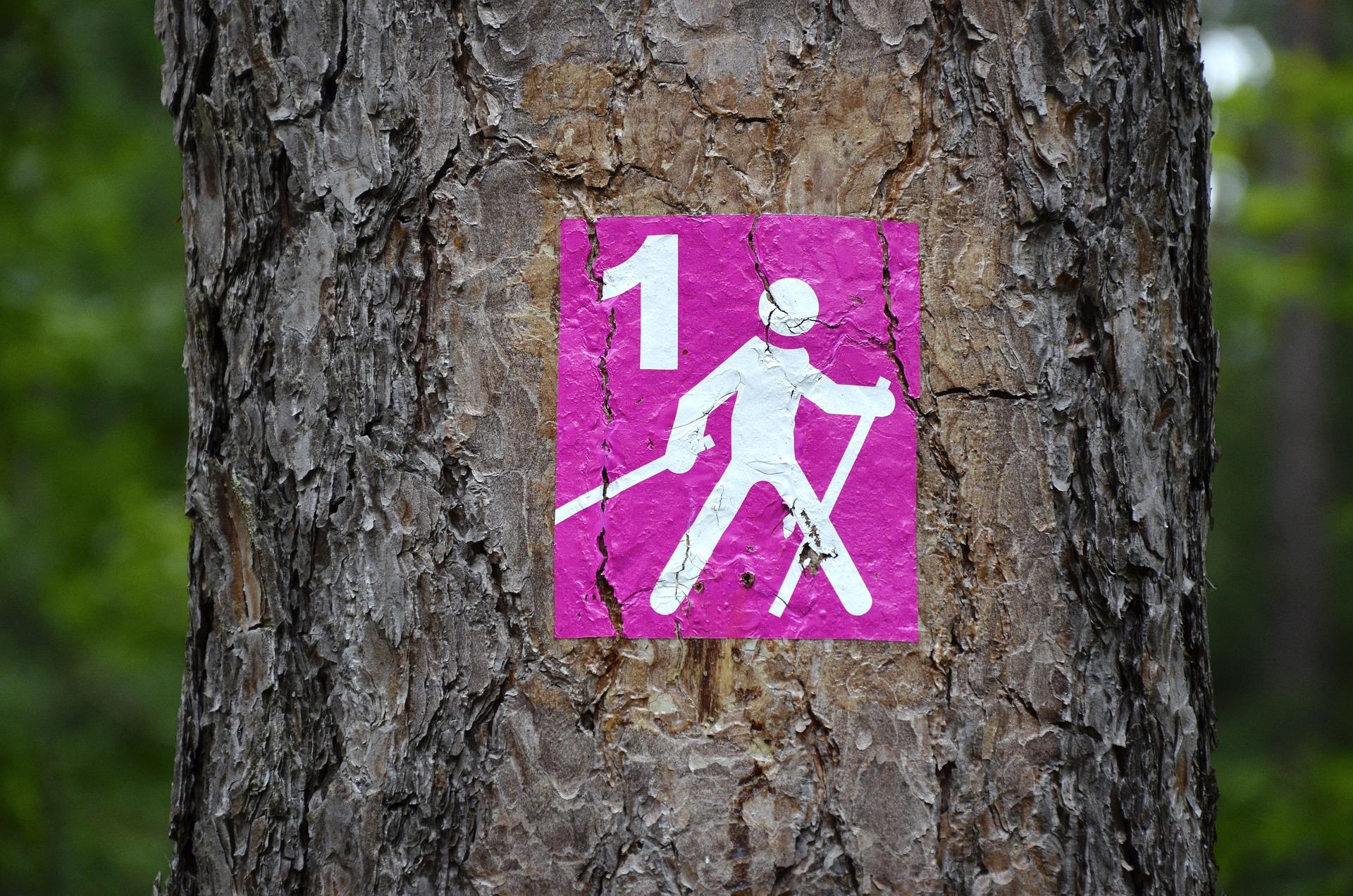 Violetti sauvakävelymerkki puussa
