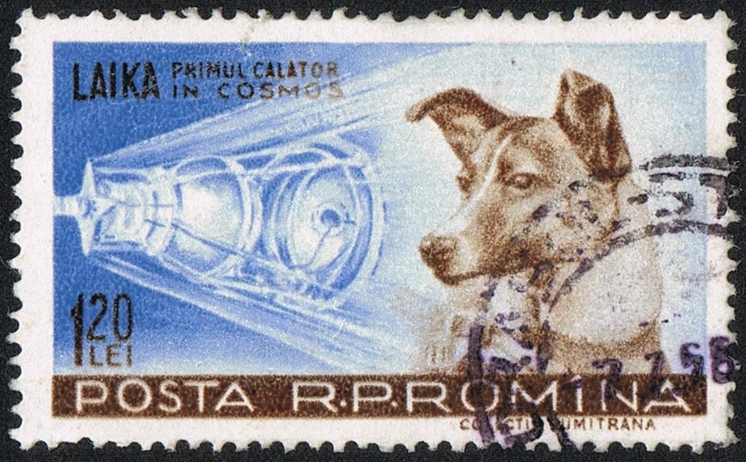 Vanha postimerkki, jossa koira