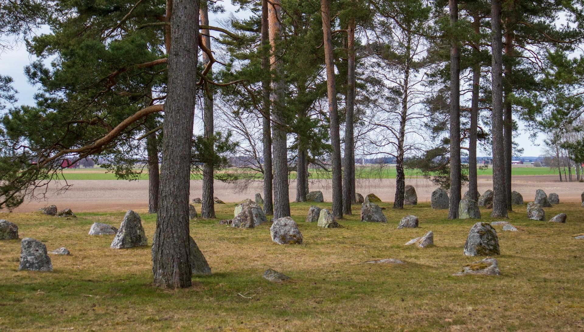 Kiviä puiden lomassa