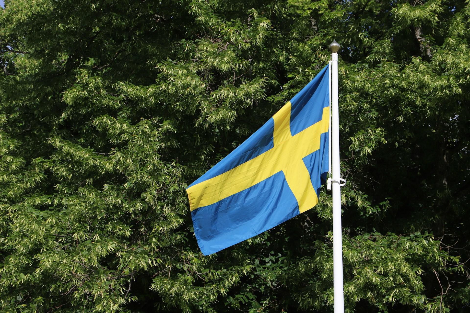 Ruotsin lippu salossa metsää vasten