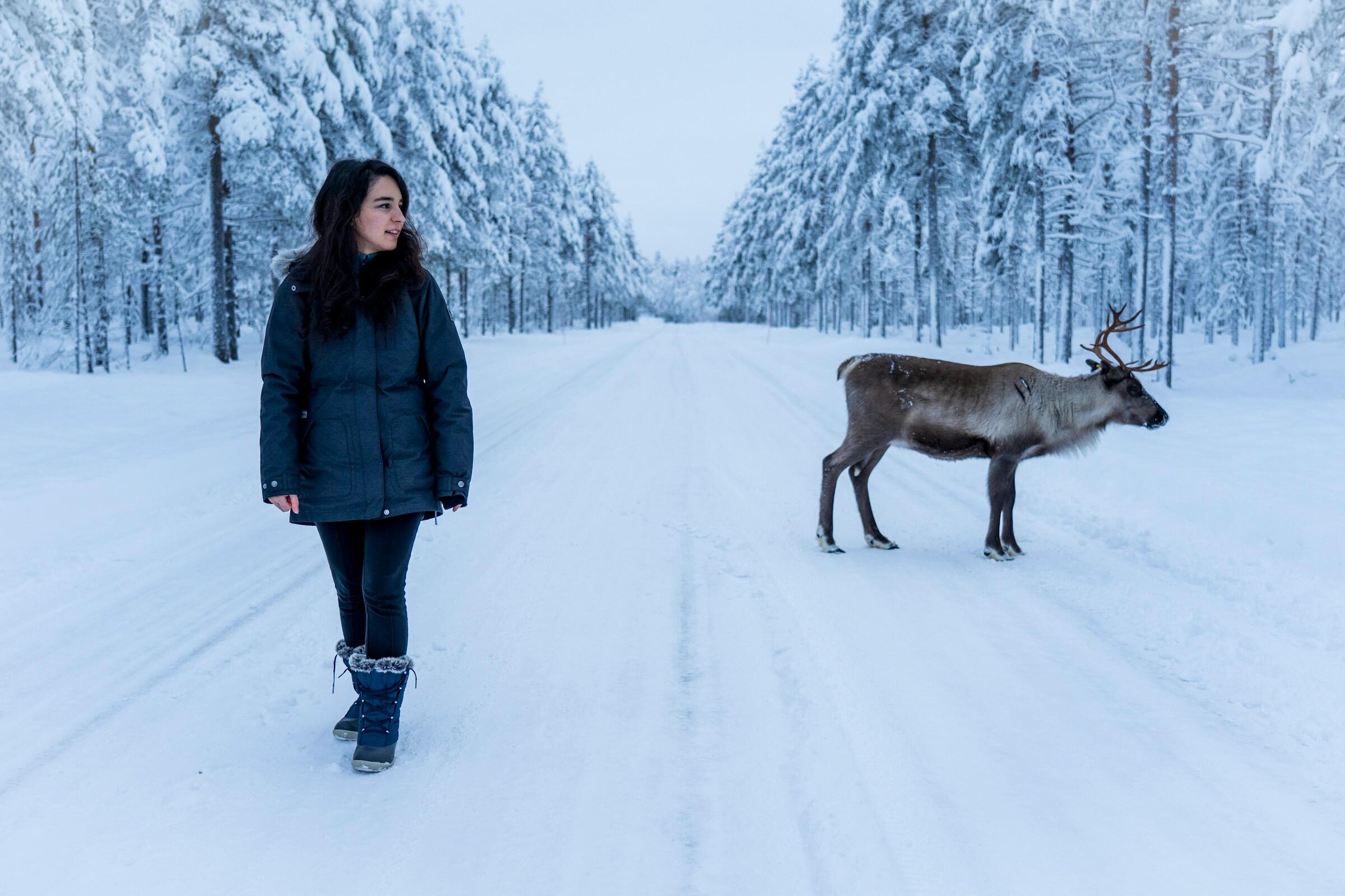 Nainen ja poro Lapissa
