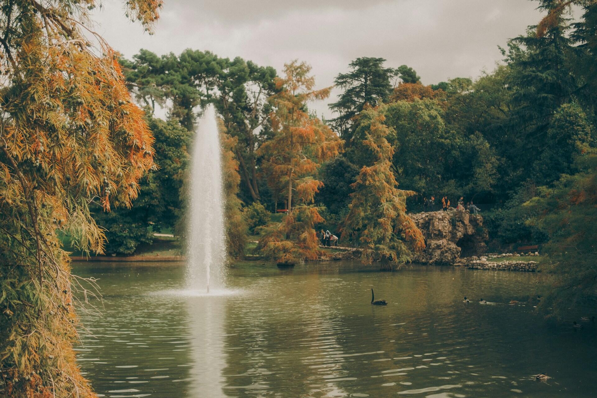Syksyn värejä puistossa