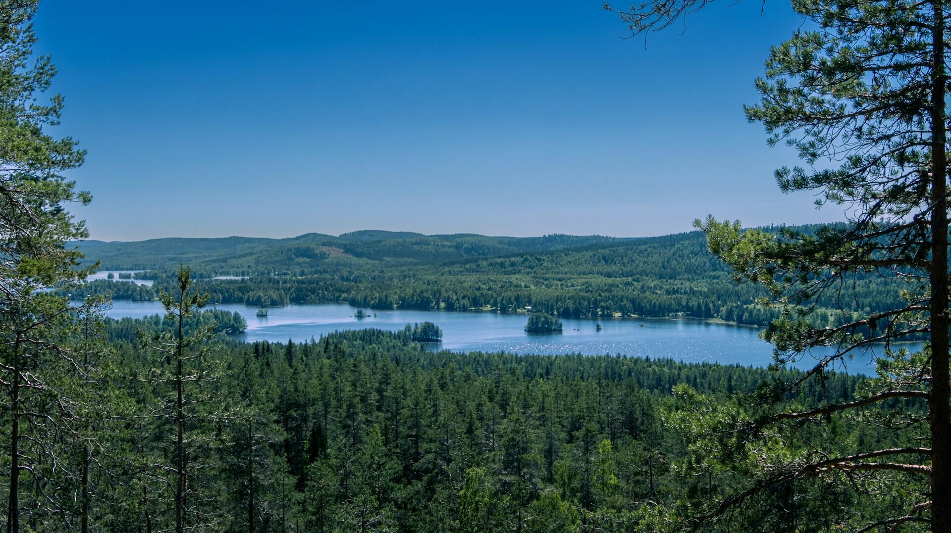 Vehreää järvimaisemaa