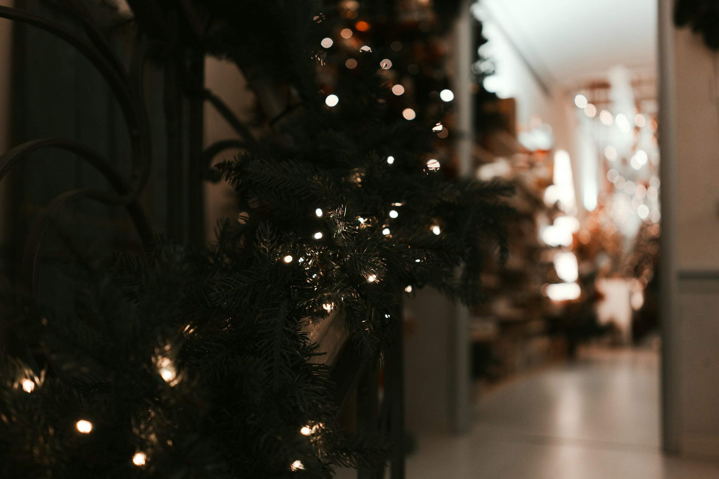 Joulukuusi ja joulun tunnelmaa