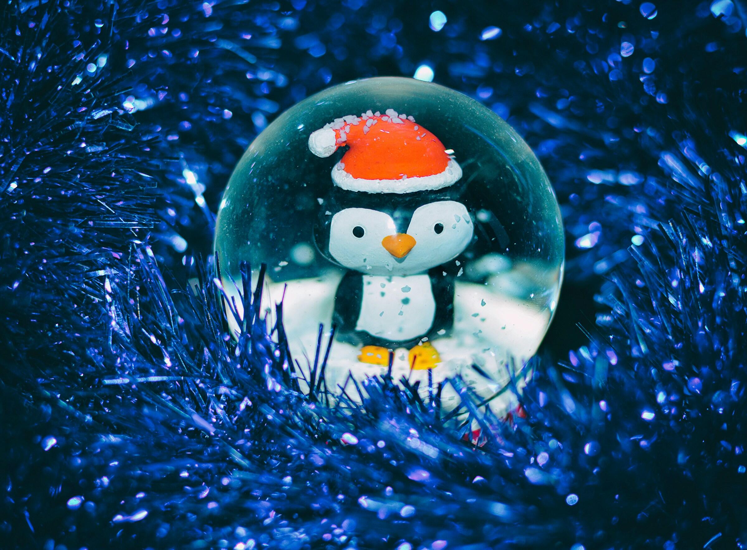 Pingviini joululakki päässä joulukoristeiden keskellä