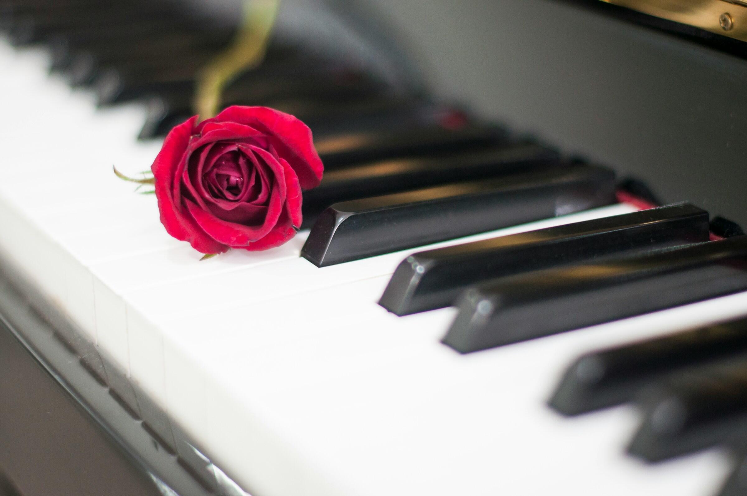 Ruusu pianolla