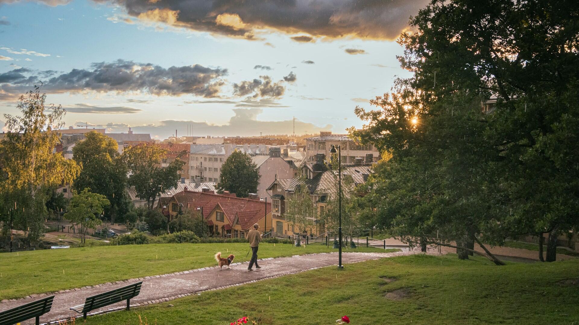 Mies kävelyttämässä koiraa puistossa