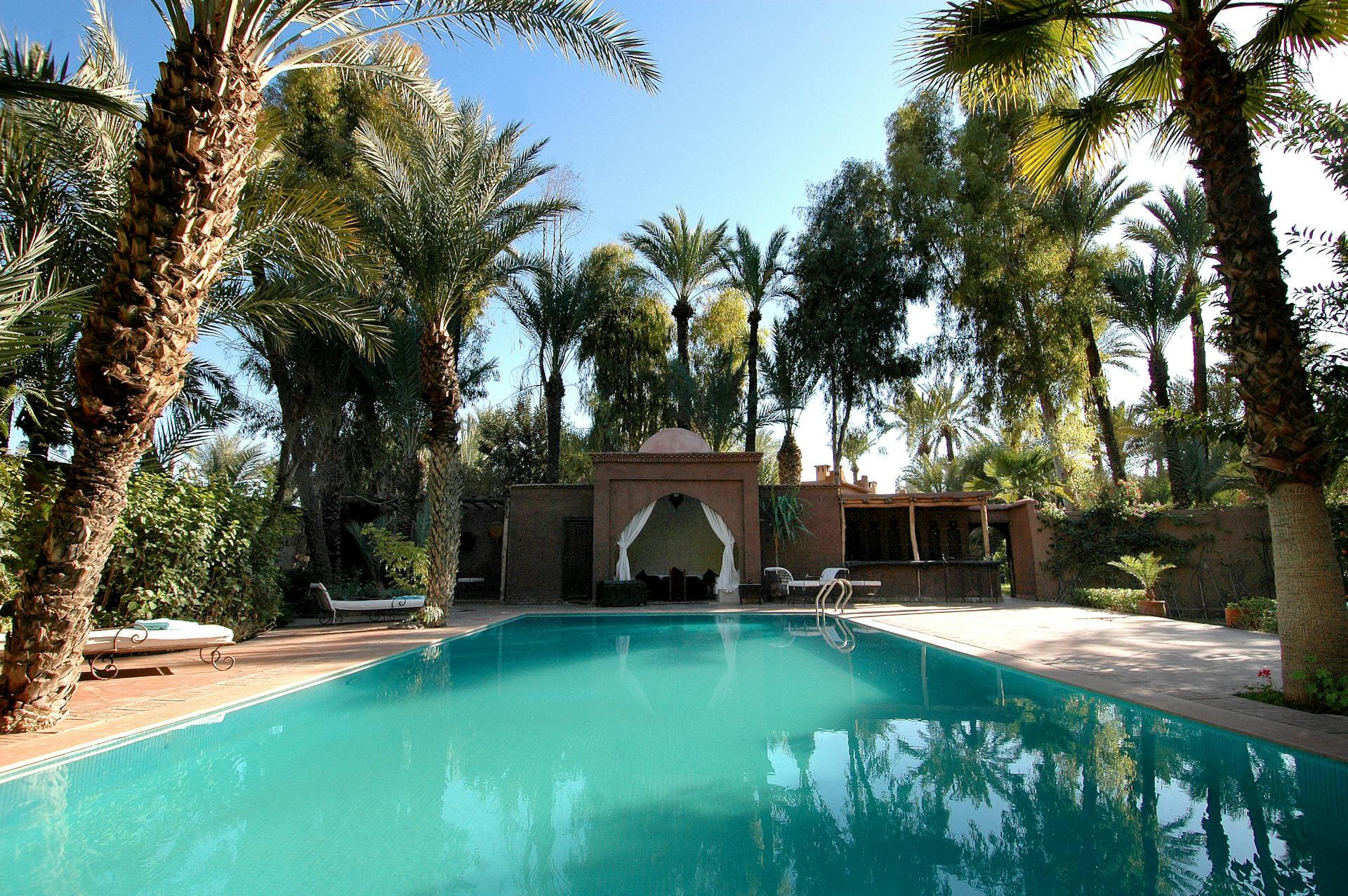 Palmujen reunustama uima-allas