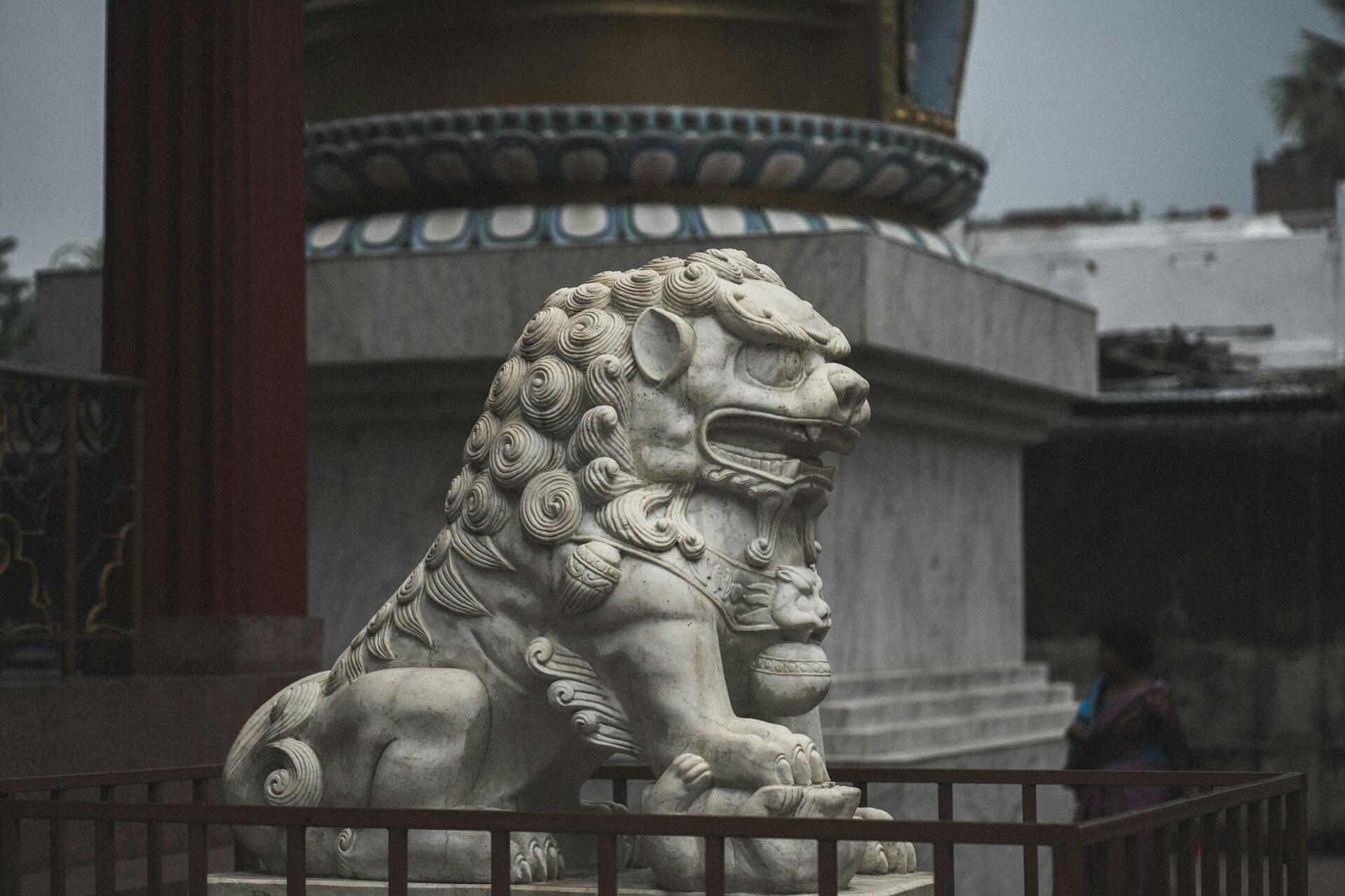 Valkoinen leijonakoirapatsas