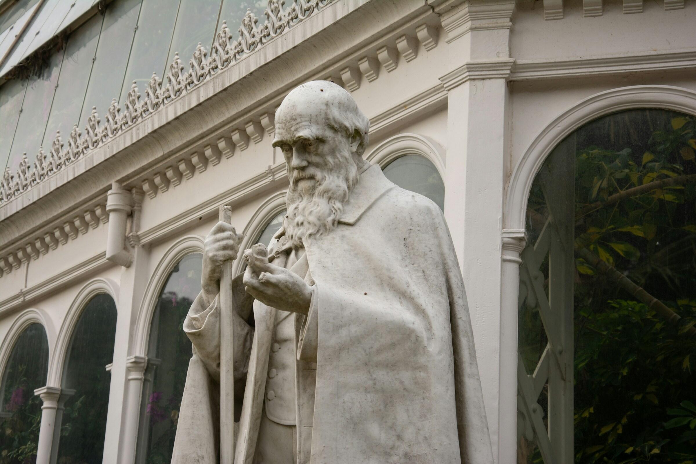 Charles Darwinin patsas Liverpoolissa