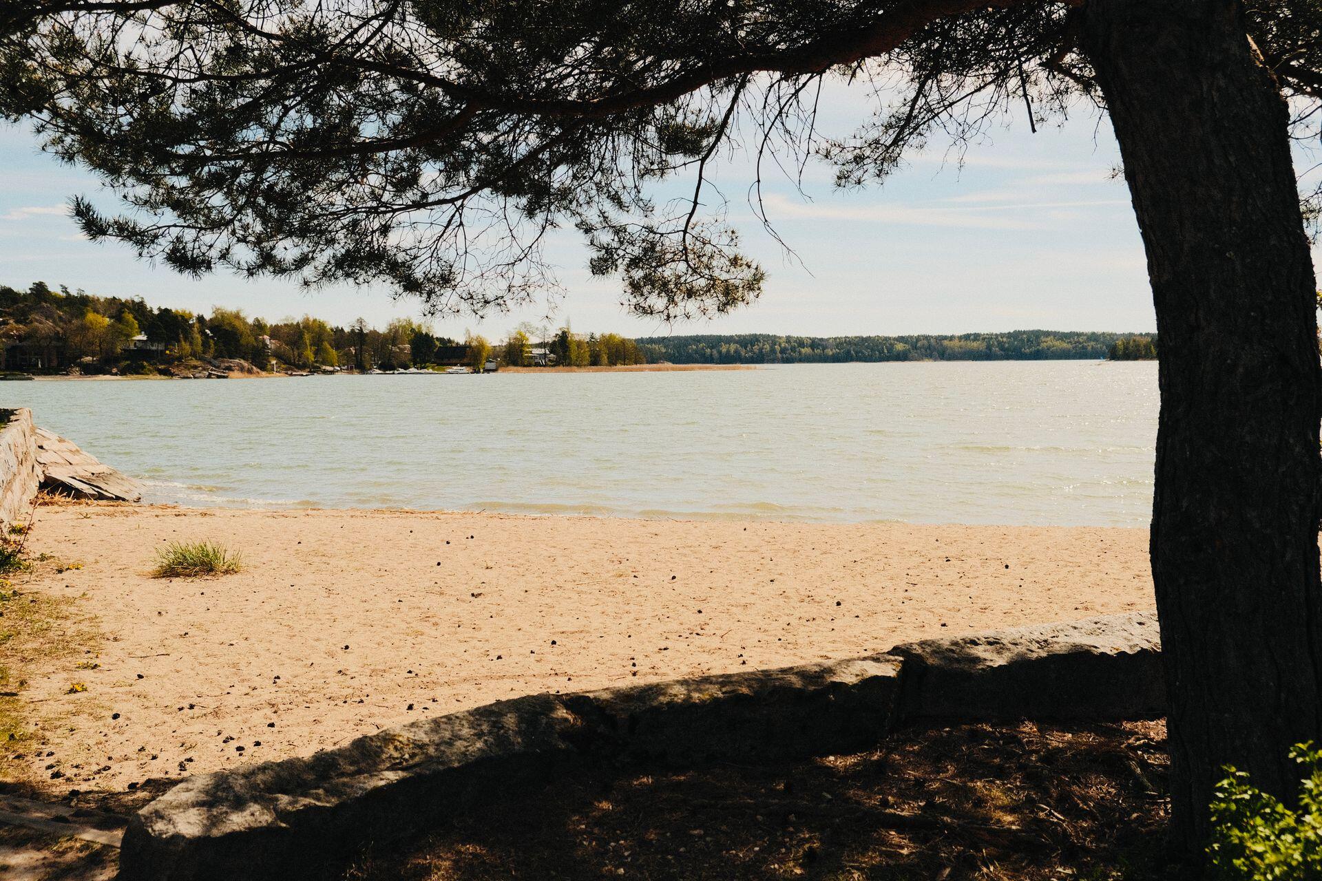 Hiekkaranta, jolla kasvaa puu