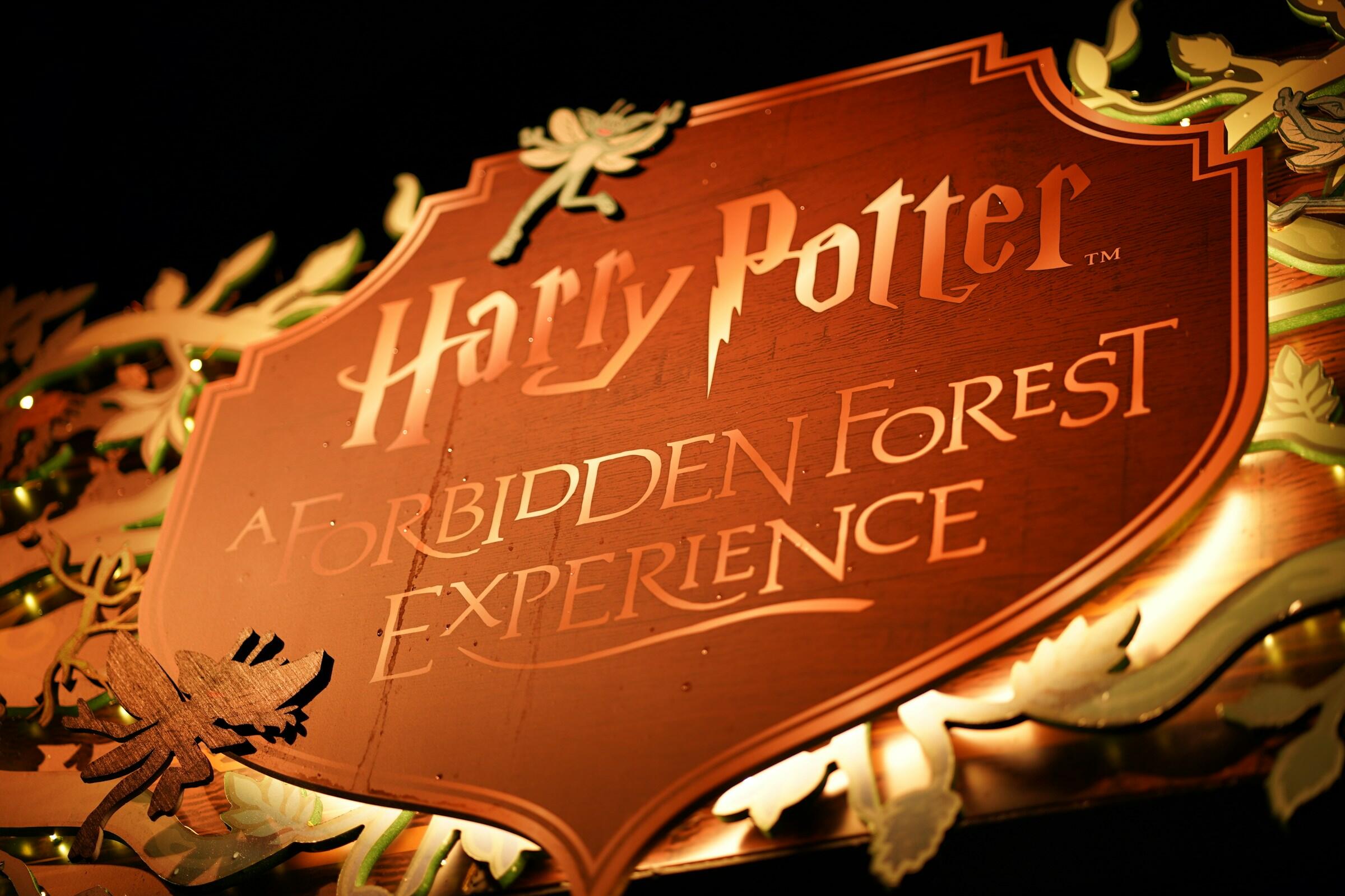 Kyltti Harry Potter -teemaiseen elämykseen