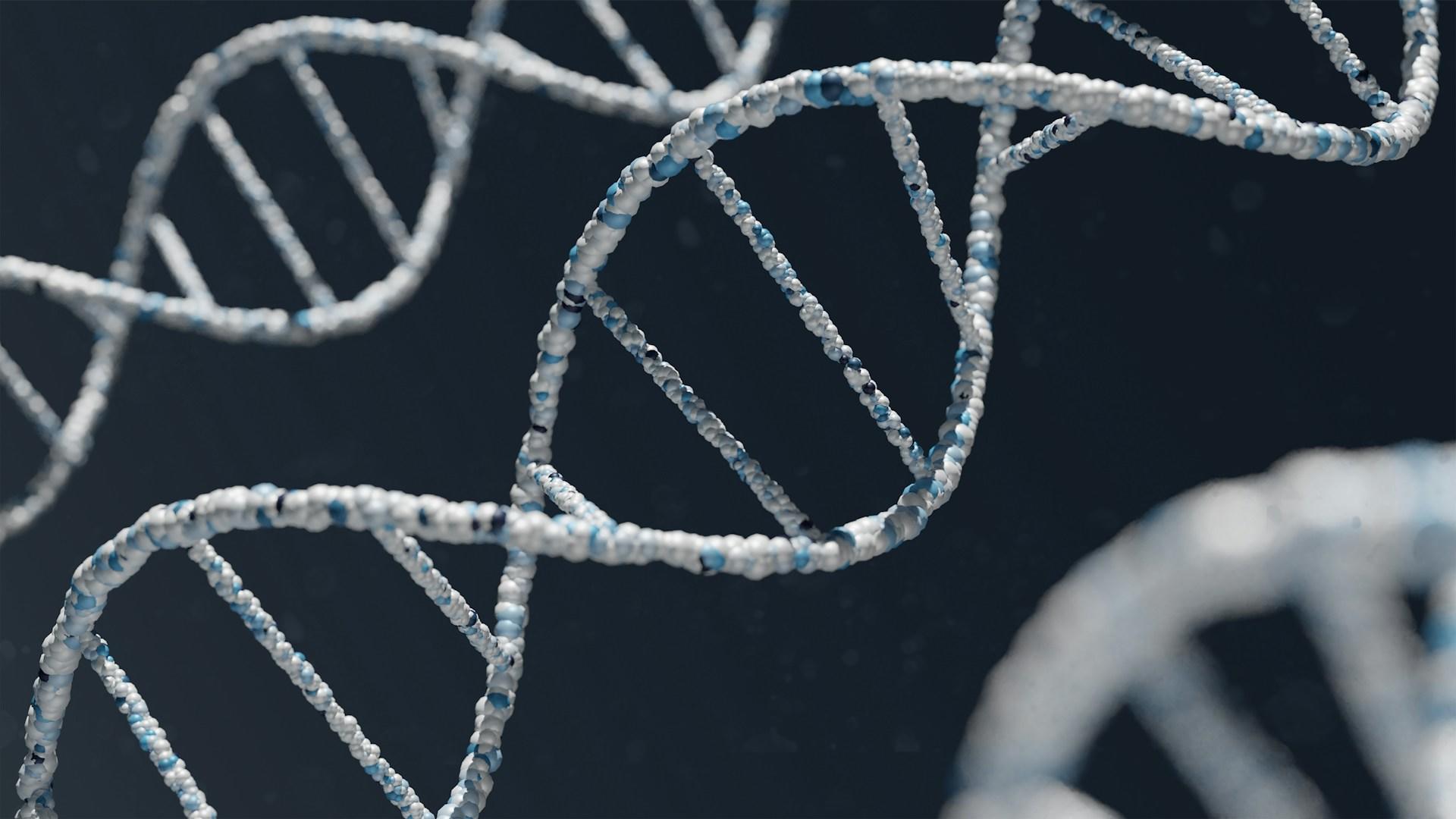 Een microscopisch beeld van DNA