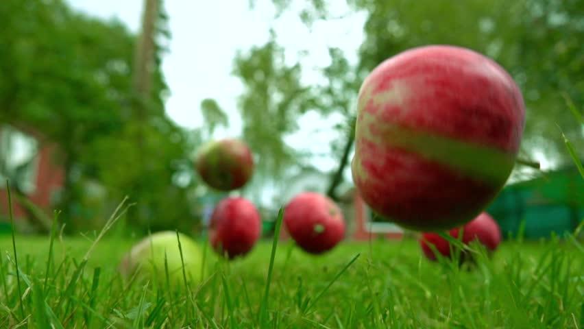 economie-theorie-wetenschap-zwaartekracht