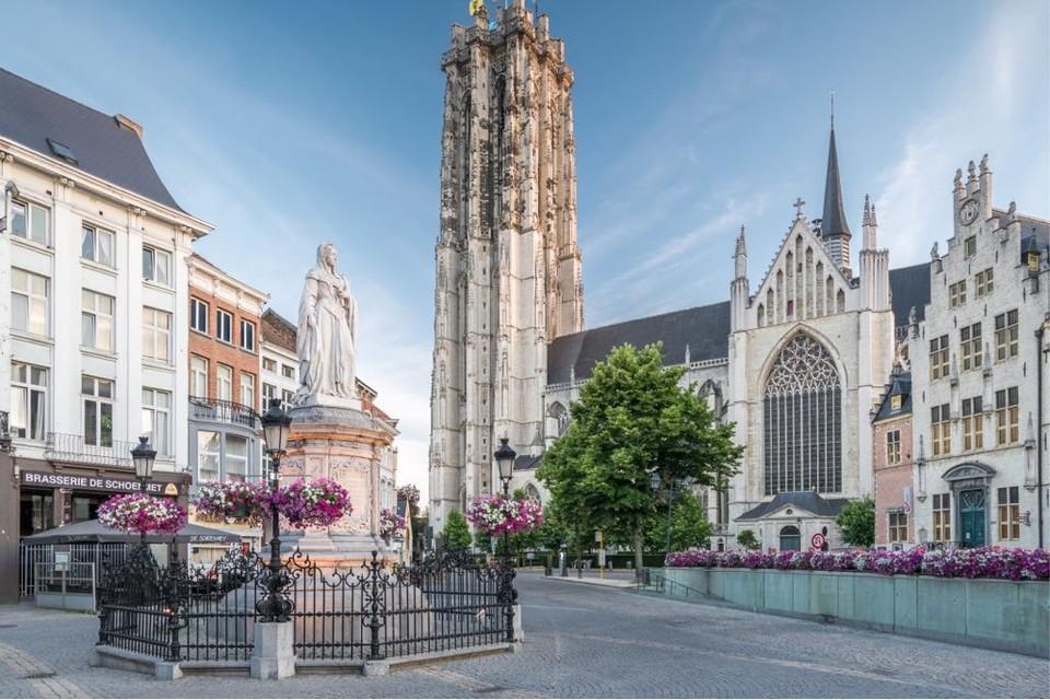 Geschiedenis studeren onder de Mechelse Sint-Romboutstoren