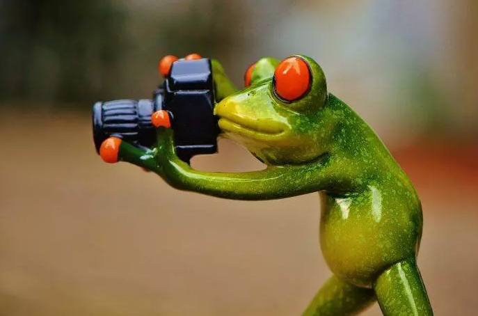 Kikker met een camera