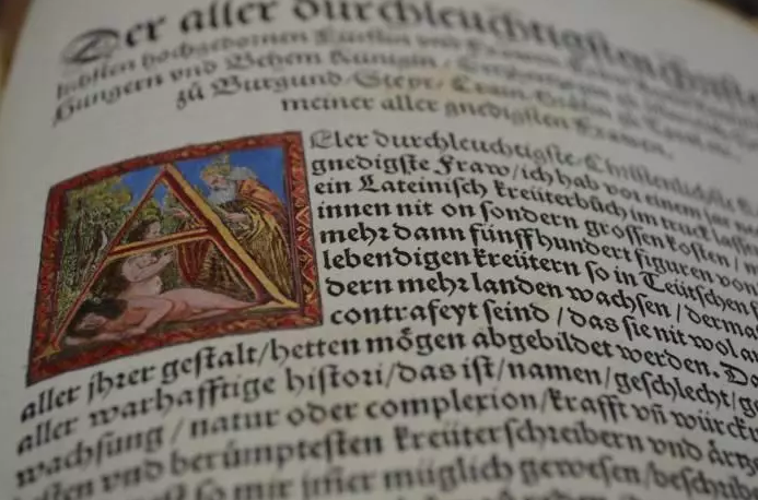 Nederlands helpt bij Spaans want het zijn allebei Latijnse talen