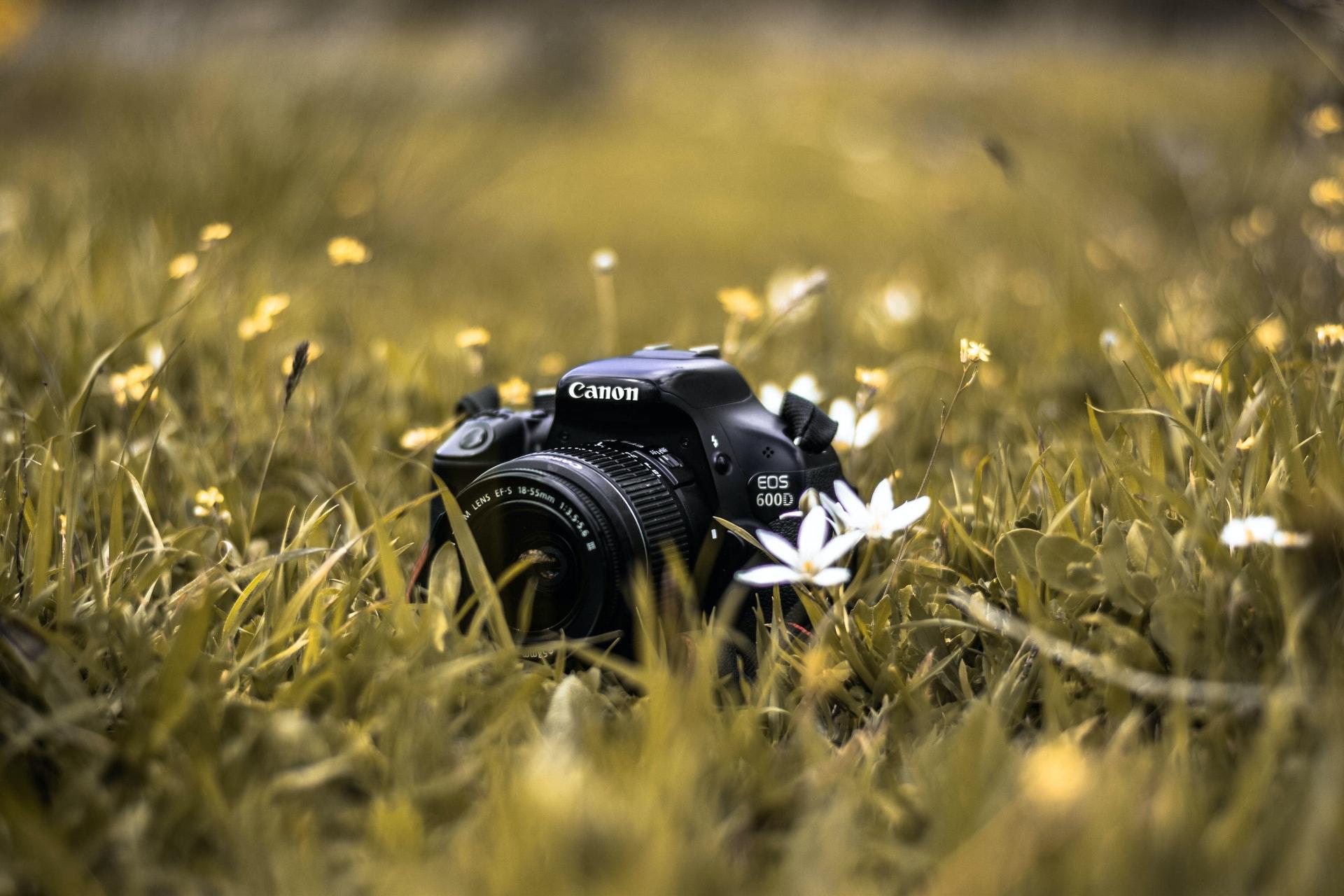 Fotografie cursussen in Vlaanderen