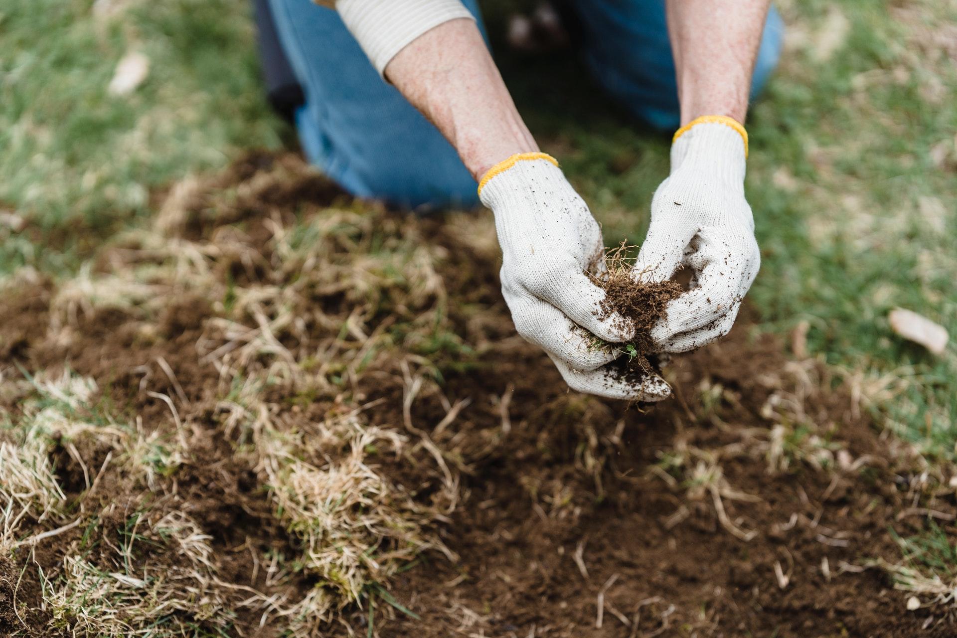 Biologie cursussen bevat ook veel praktijk, met aarde bijvoorbeeld