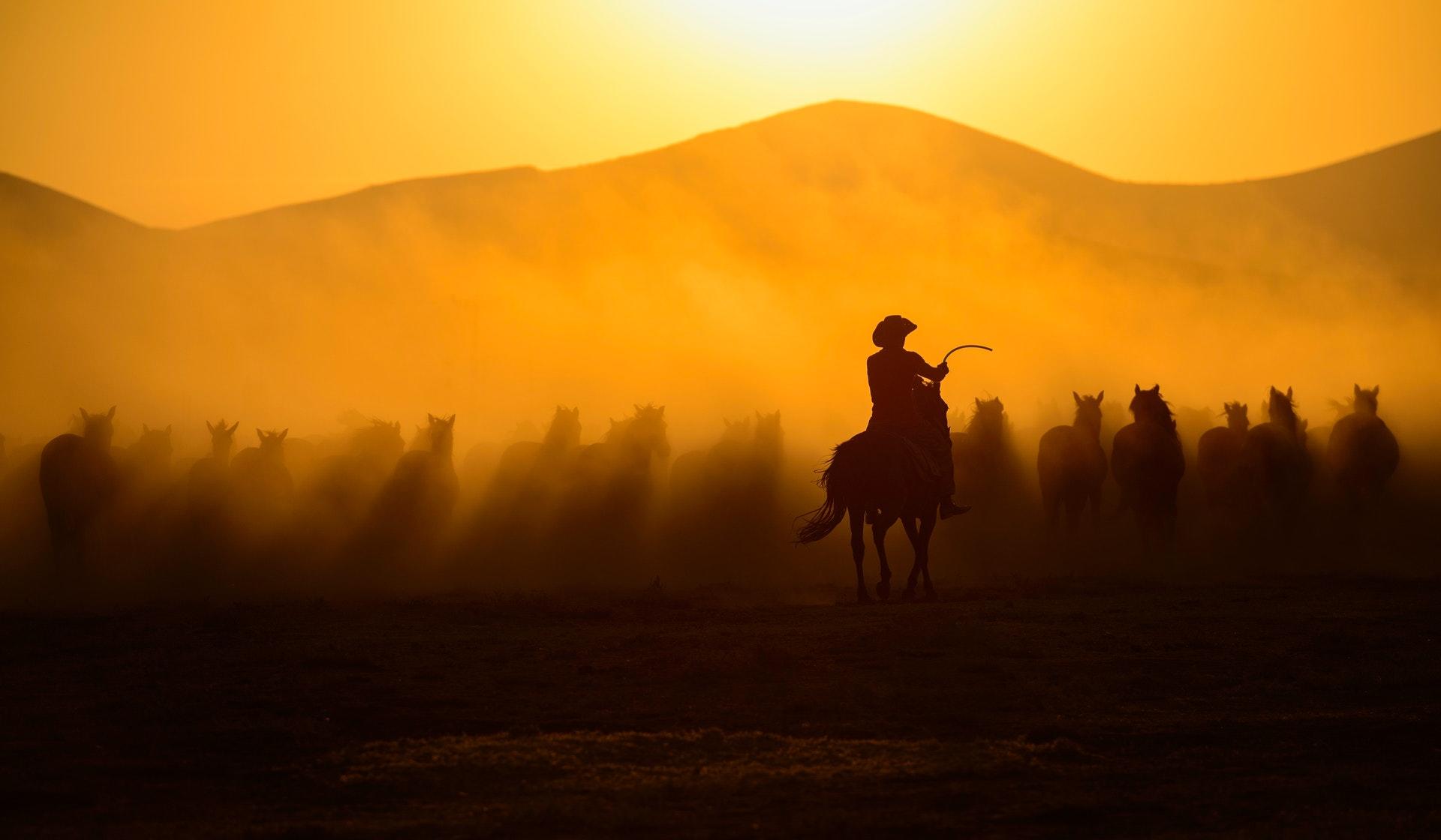 Cowboy op paard