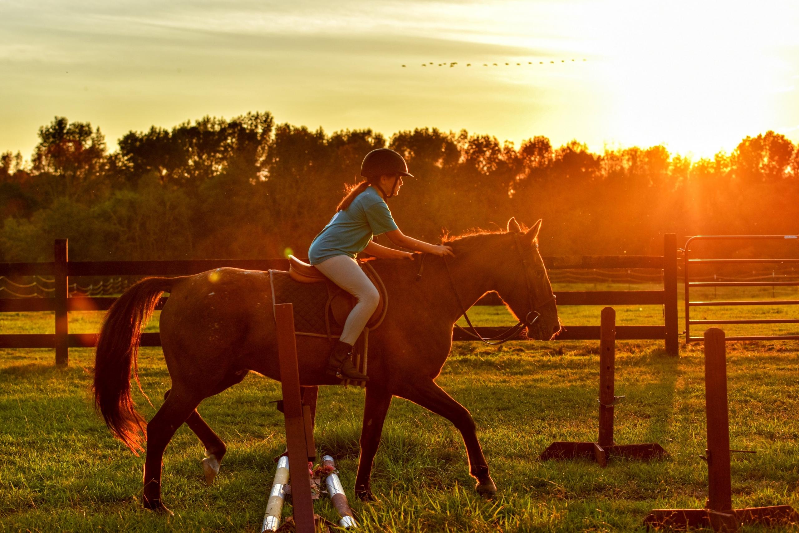 Vrouw op paard