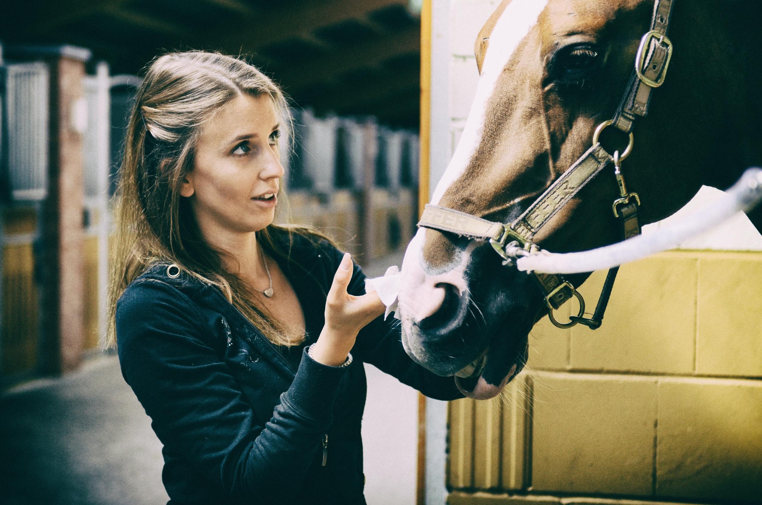 Vrouw verzorgt een paard