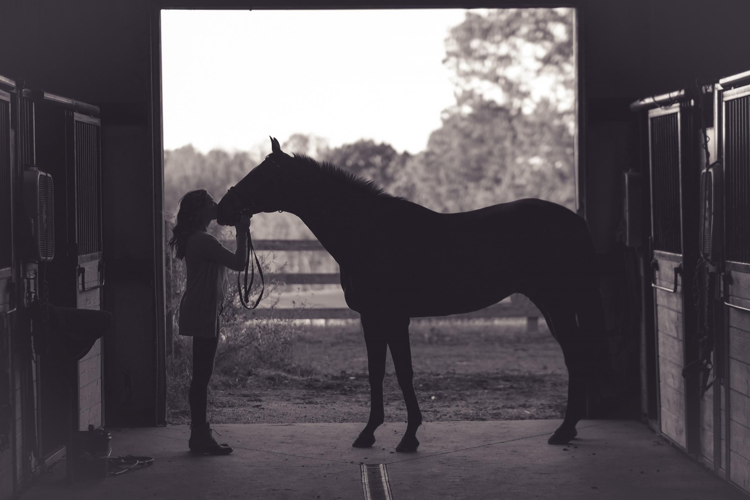 Vrouw kust paard op neus