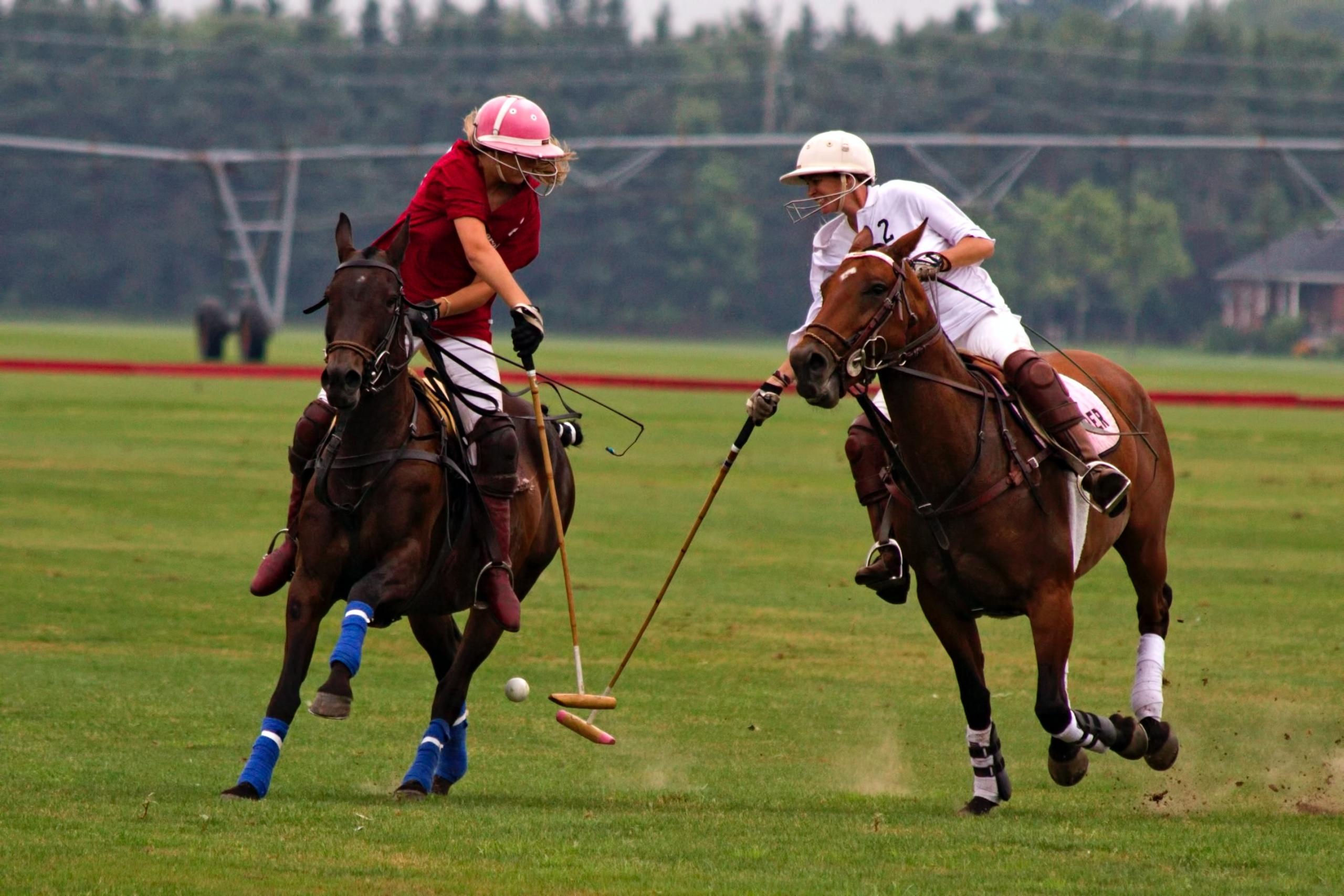 Mensen spelen polo op paarden