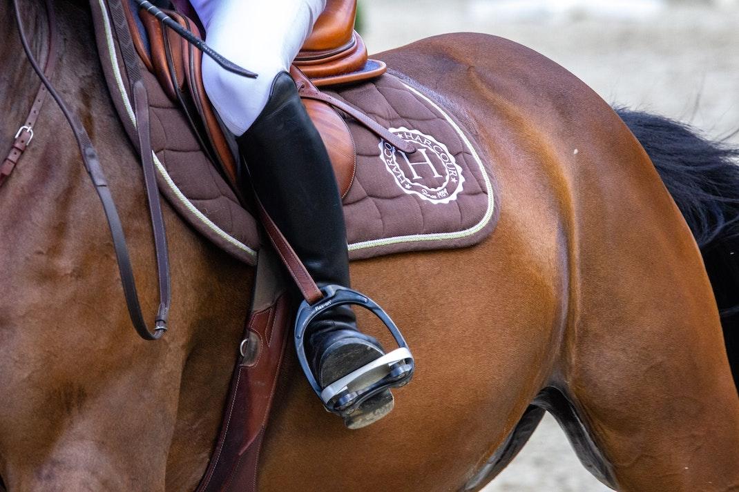ruiter op paard